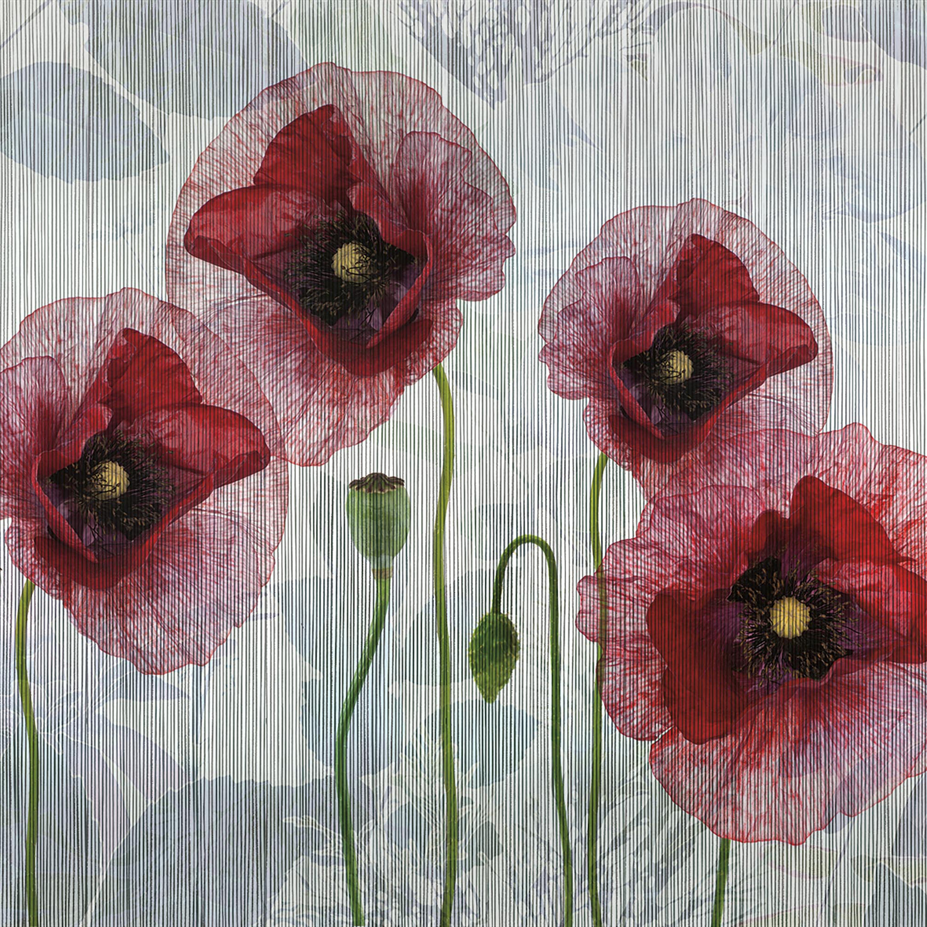Mostra il prodotto textile | papaver del produttore N.O.W. Edizioni