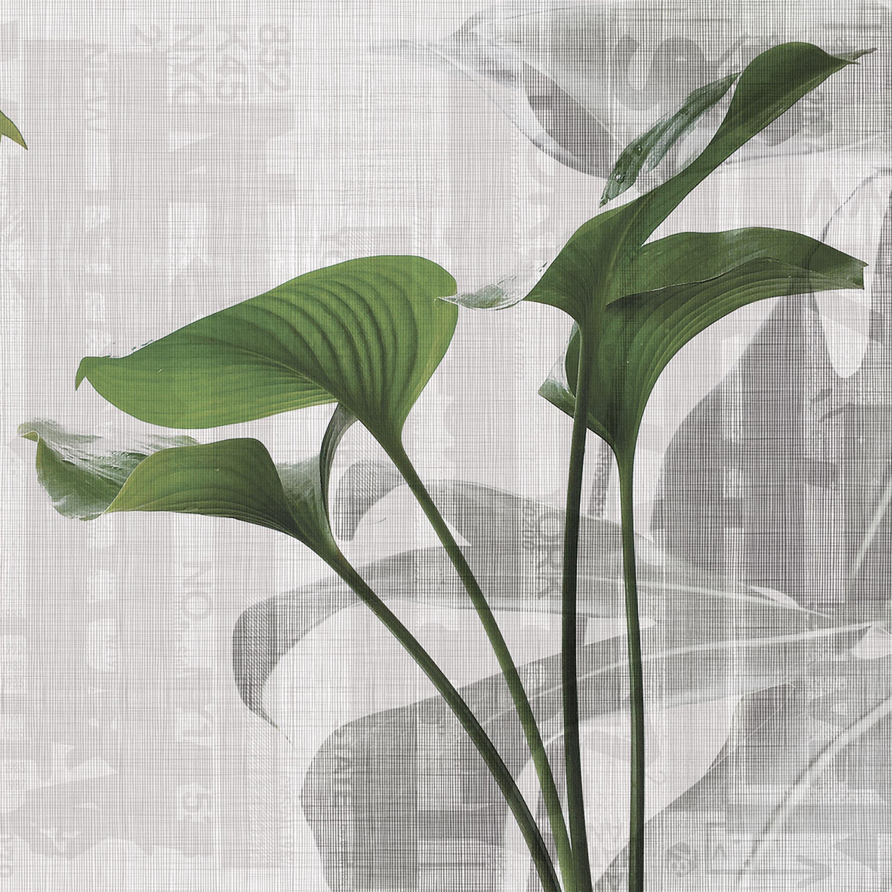 Mostra il prodotto urban | leaves del produttore N.O.W. Edizioni