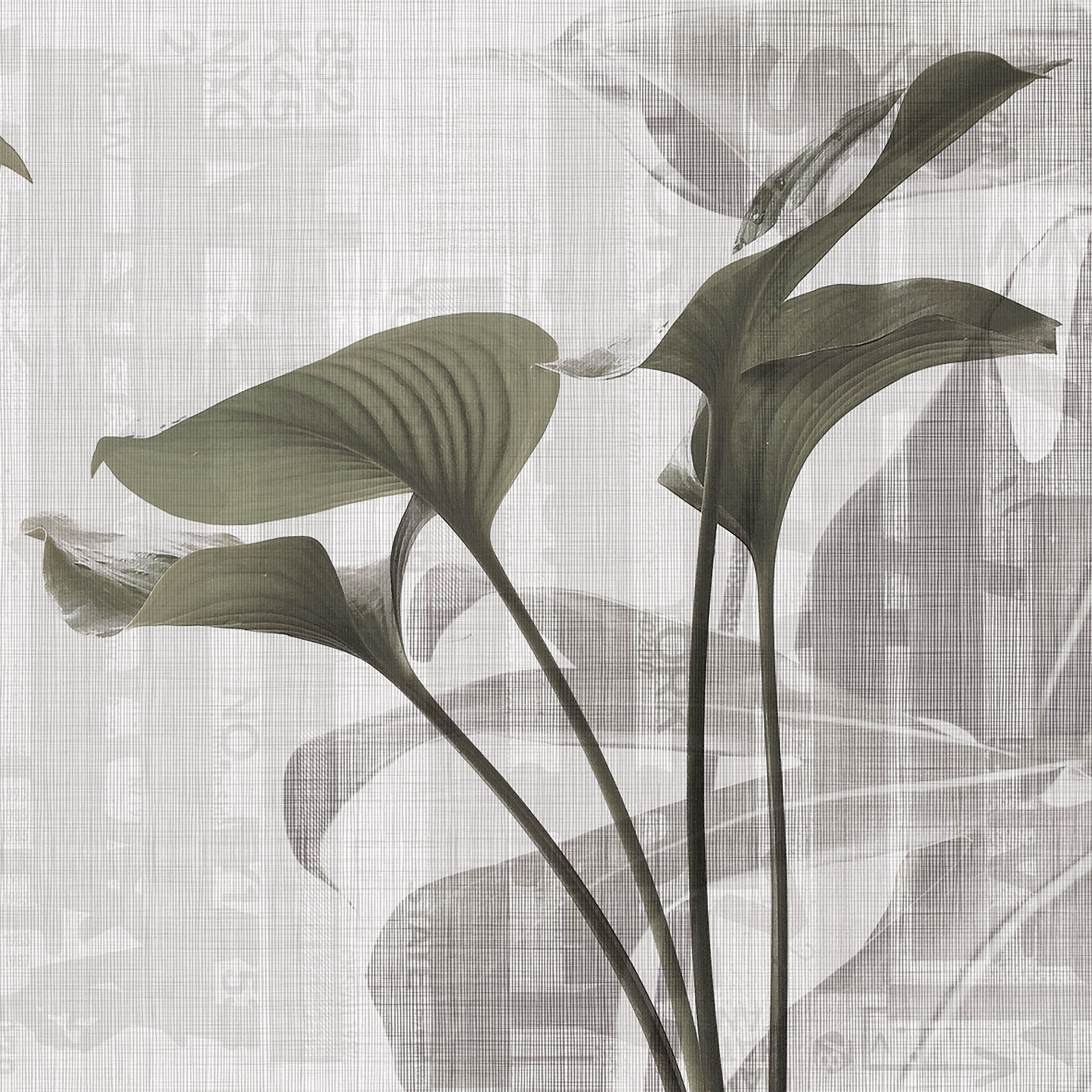 urban | leaves
