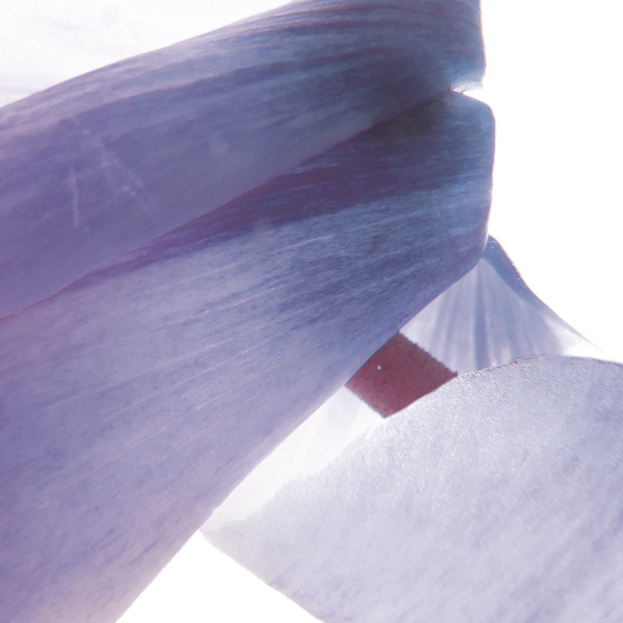 petals | cycla