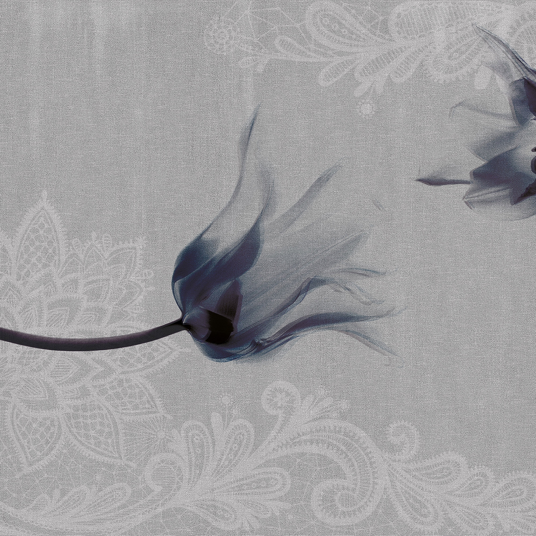 Display product concrete | flower lace from manufacturer N.O.W. Edizioni