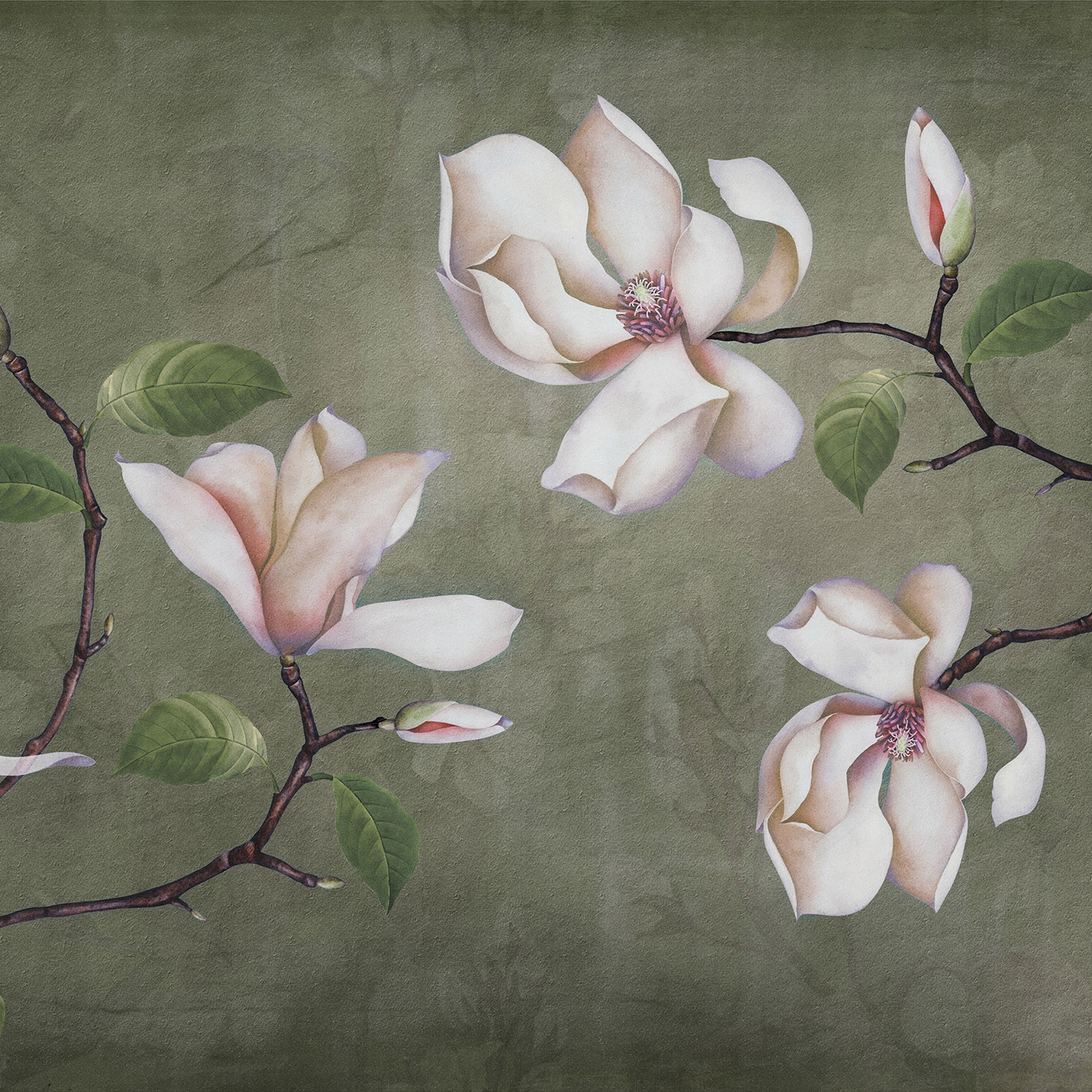 concrete | lilii