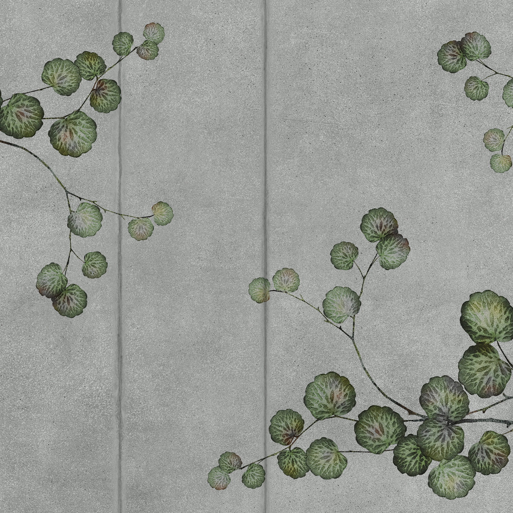 Mostra il prodotto concrete | lyptus del produttore N.O.W. Edizioni
