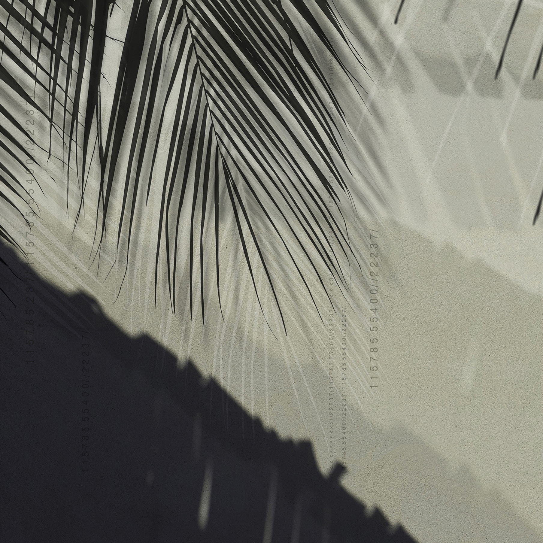 Afficher le produit concrete | palm shadow du fabricant N.O.W. Edizioni
