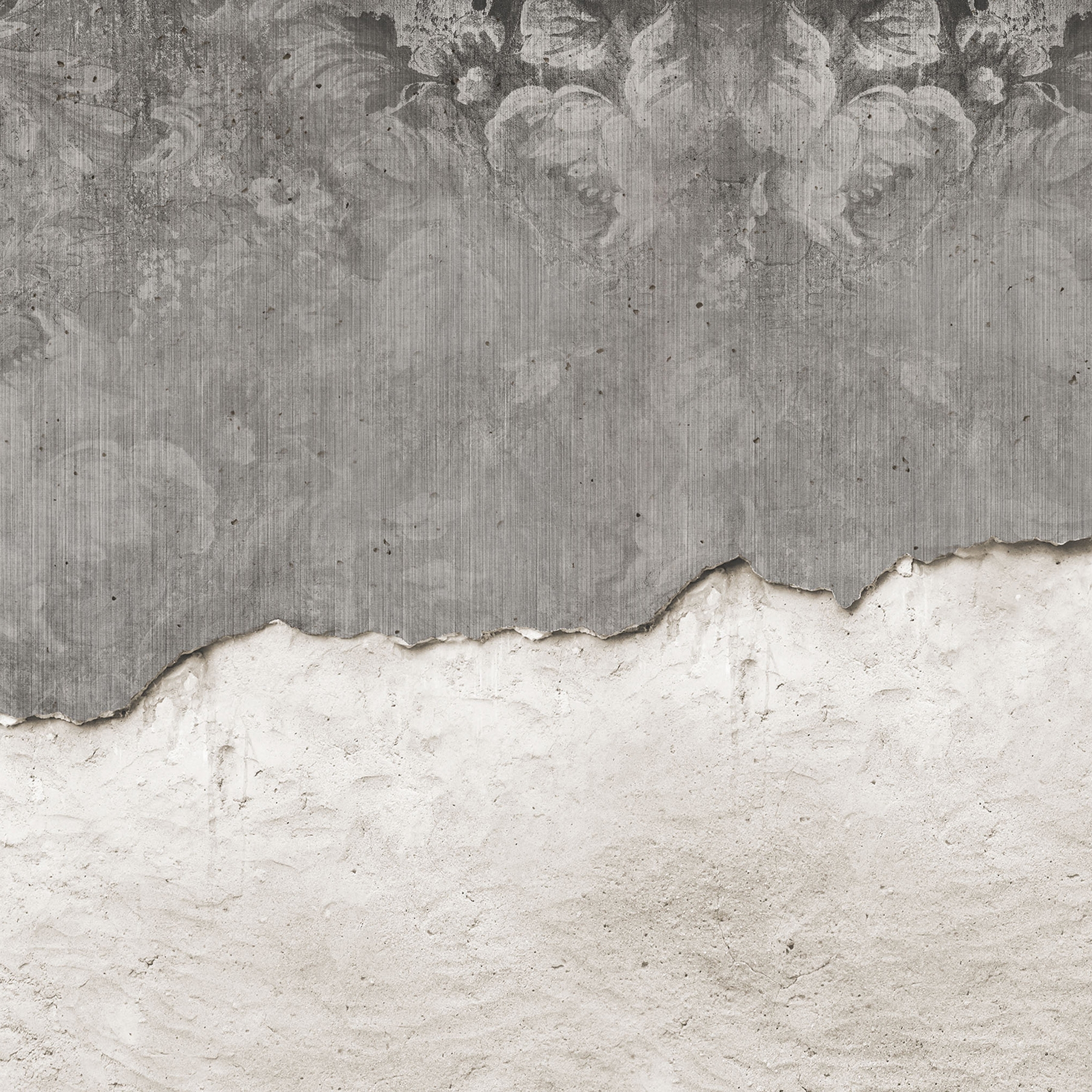 concrete | peony