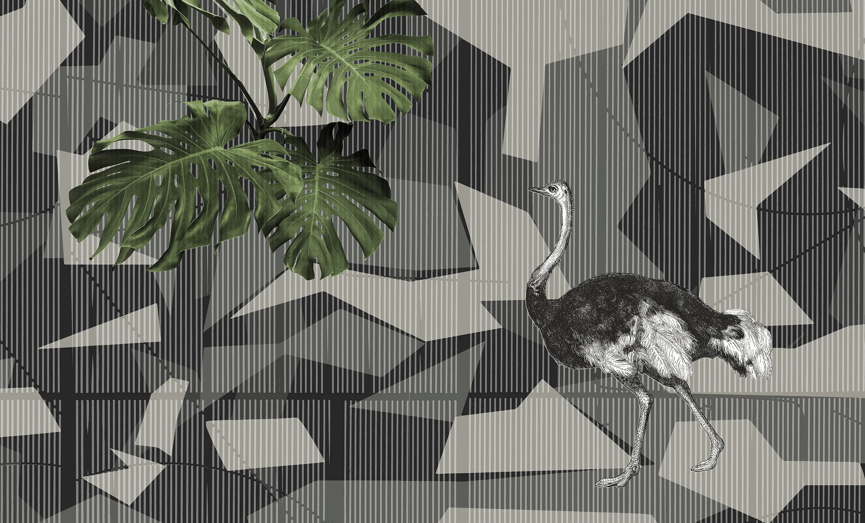 N.O.W. Edizioni - geometric | camu