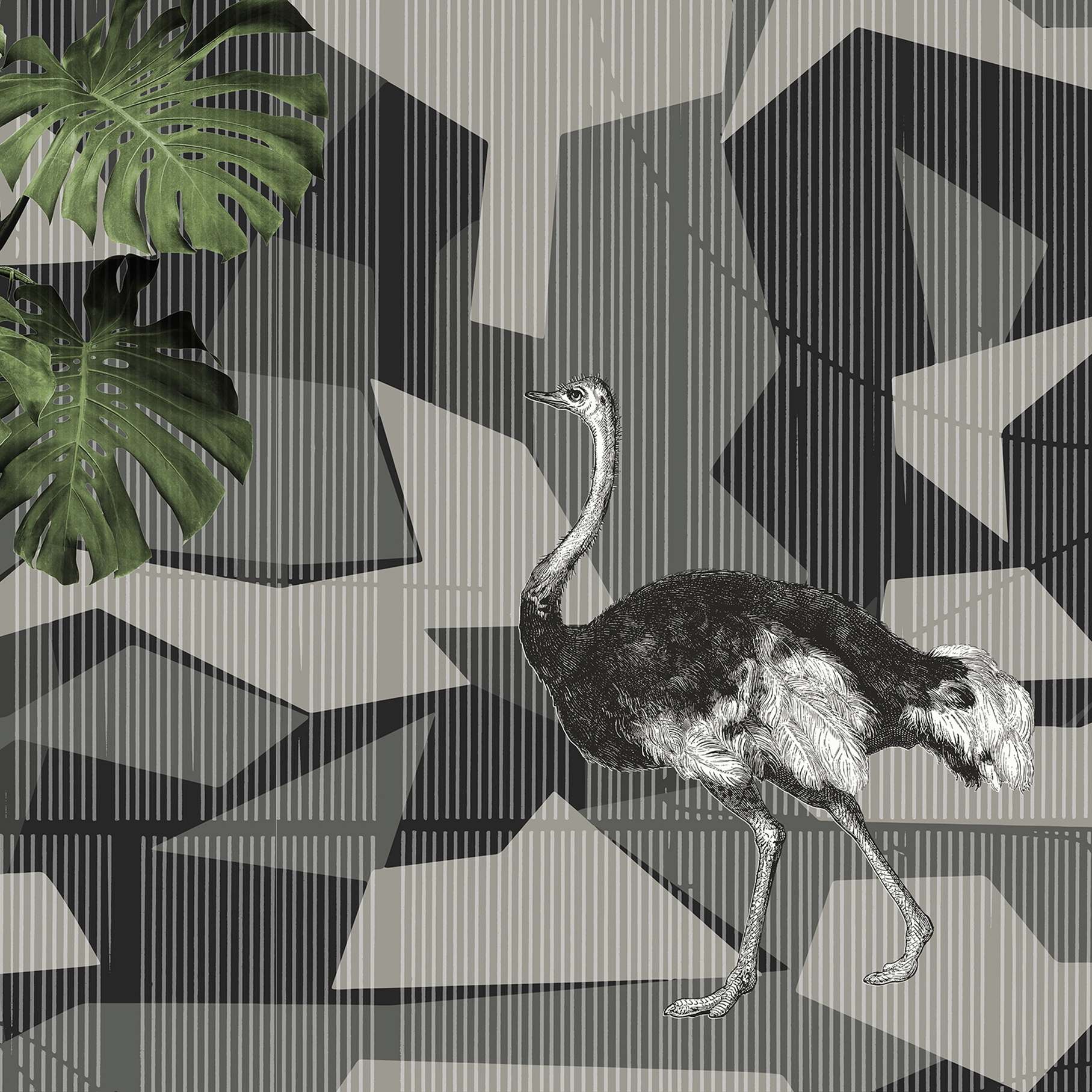 Produkt geometric | camu des Herstellers N.O.W. Edizioni anzeigen