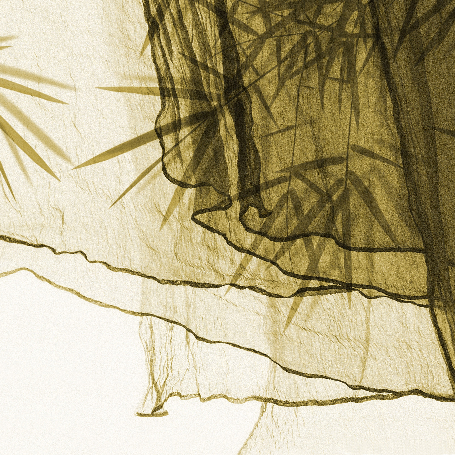 textile | floating on bamboo