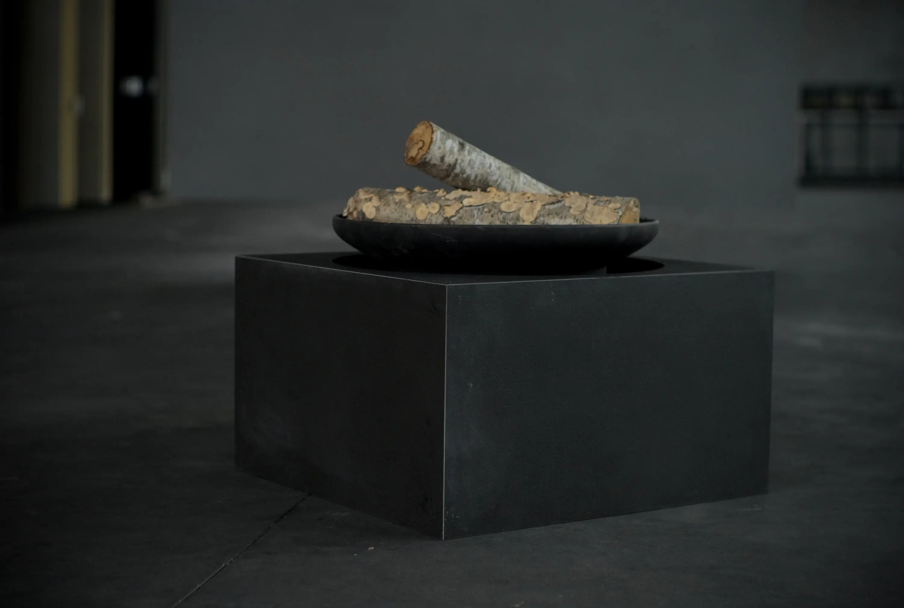 Paira - Giove