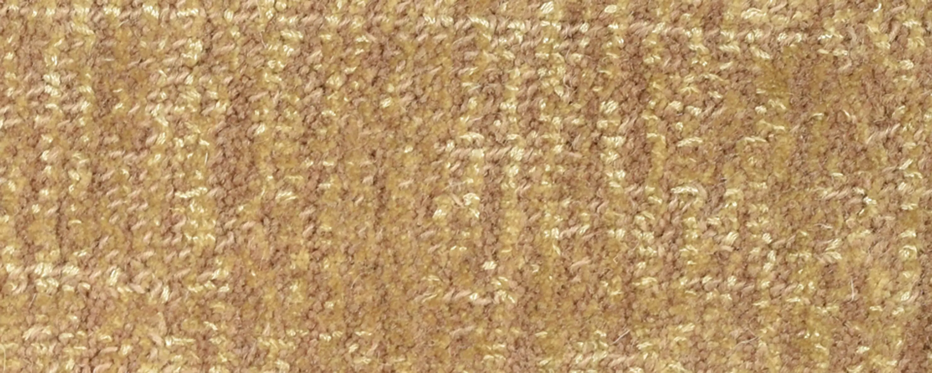 Warli - Equipment | Avana