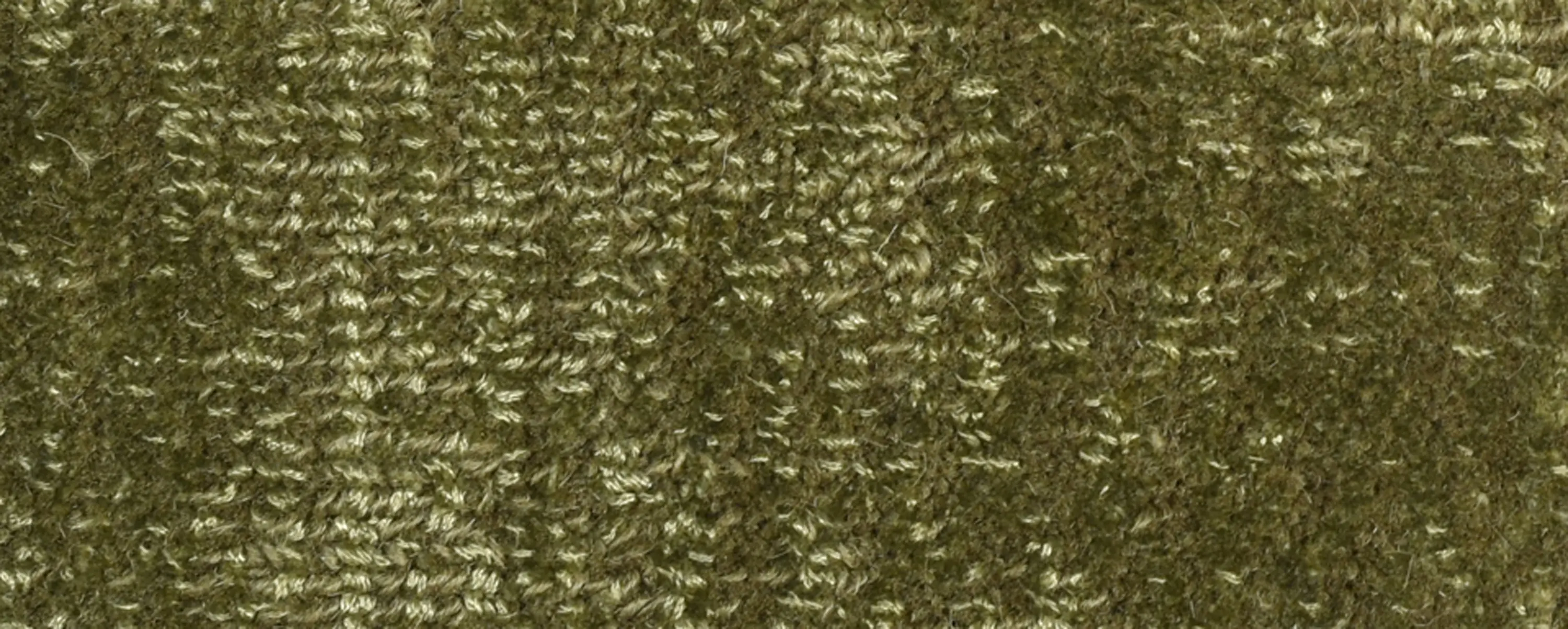 Warli - Equipment | Avana