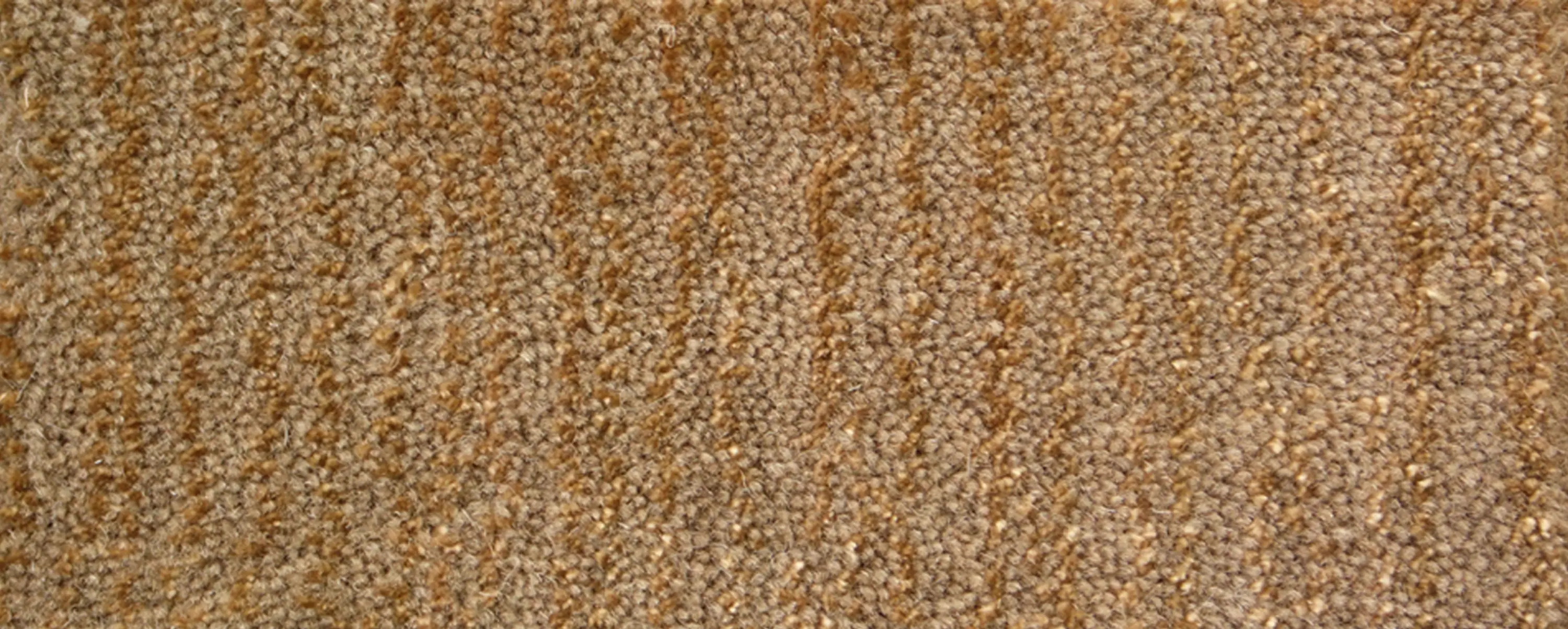 Warli - Equipment | Mono