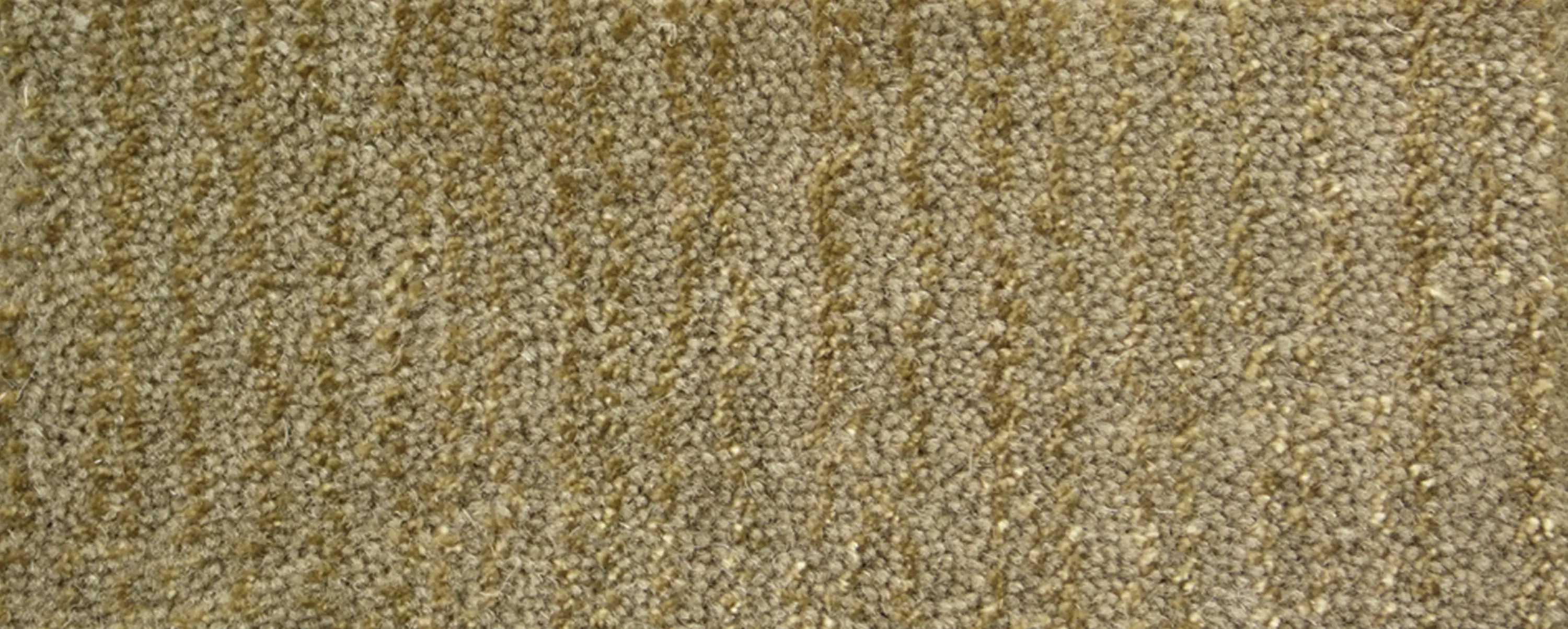 Warli - Equipment | Mono