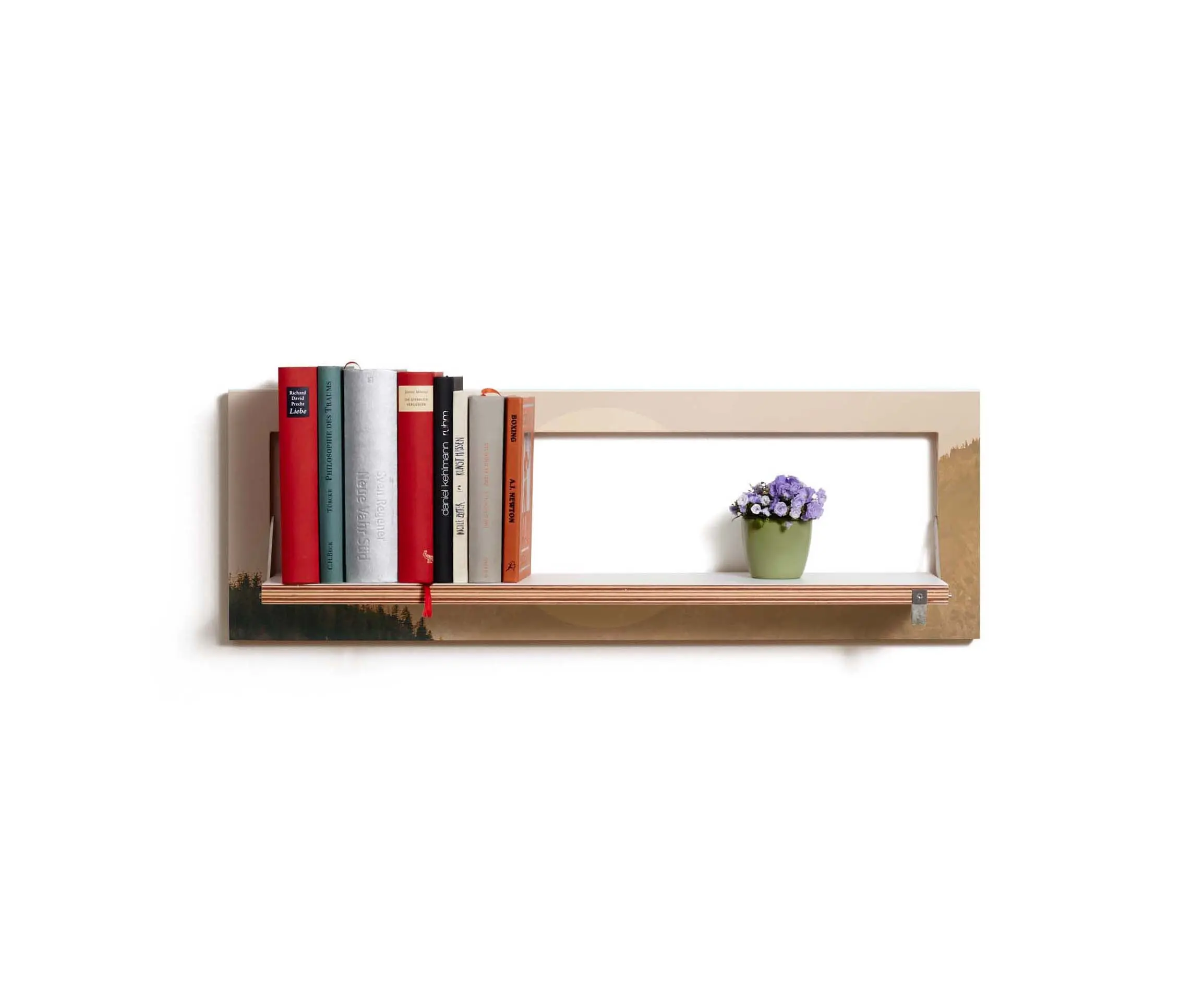 Ambivalenz - Fläpps Shelf 80x27-1 | Alps by Joe Mania