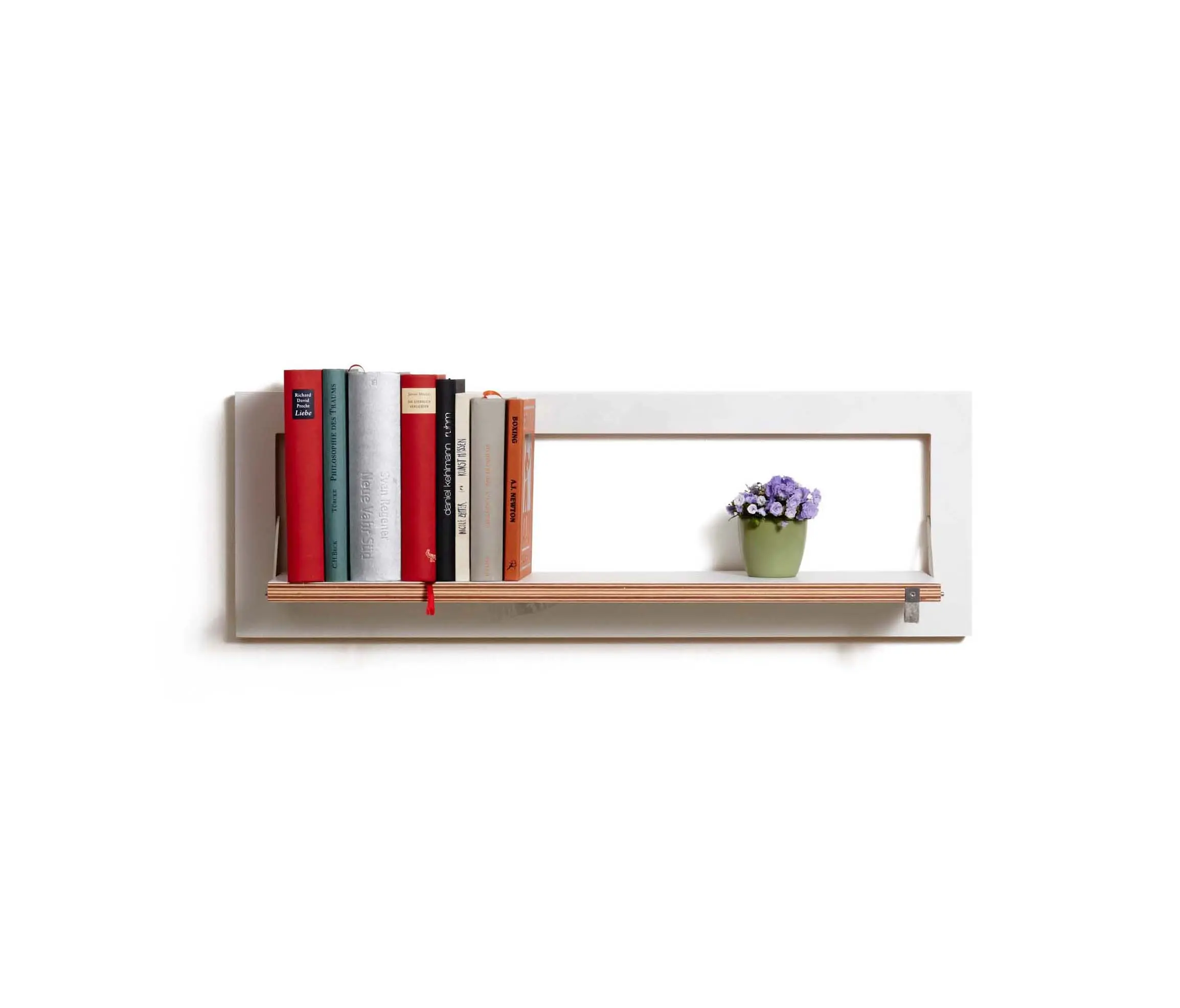 Ambivalenz - Fläpps Shelf 80x27-1 | Vallunaraju by Joe Mania