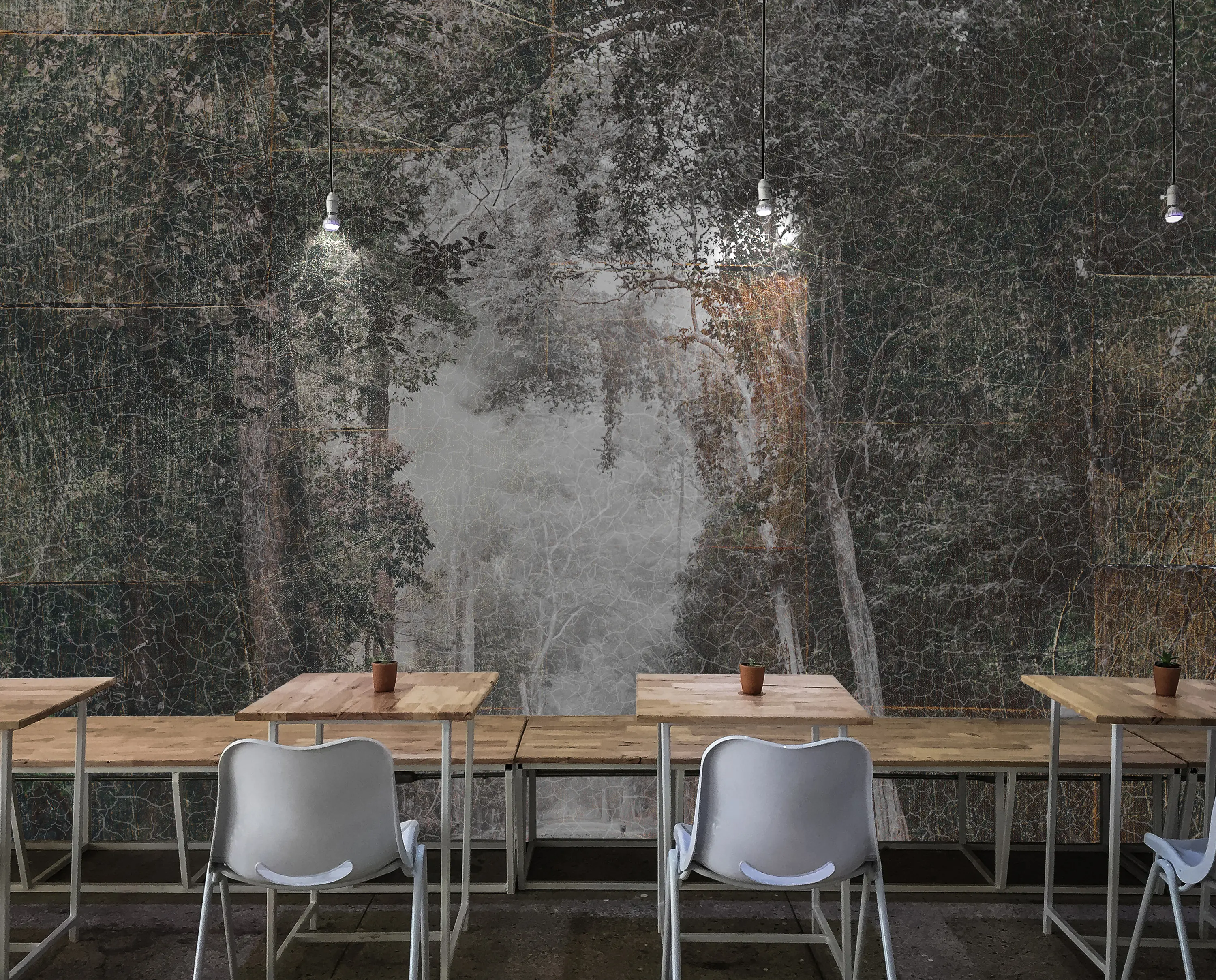 INSTABILELAB - Tree Lined Avenue