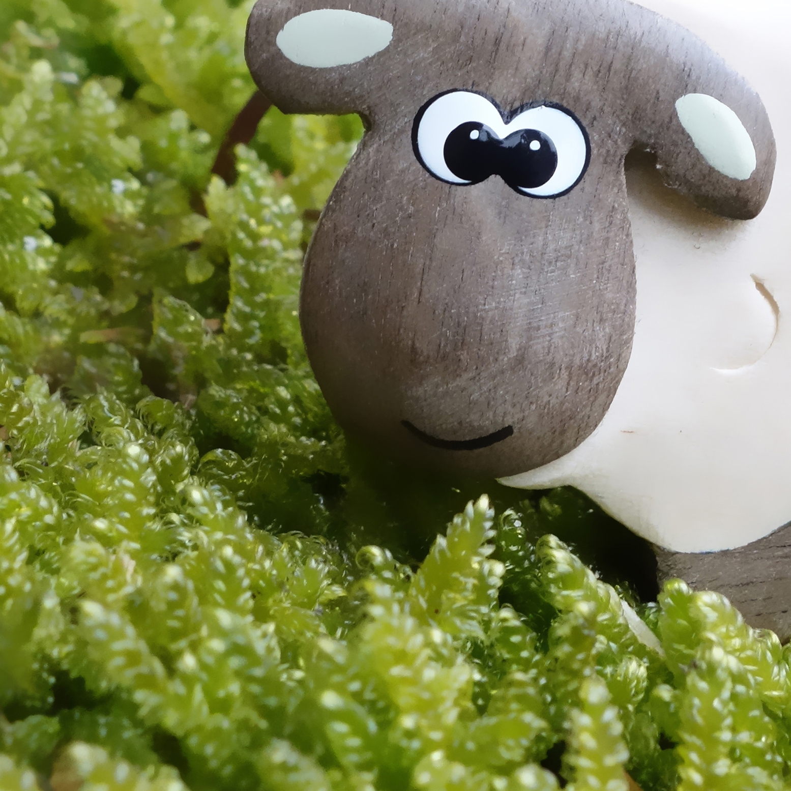 Mostrar el producto Boys | Bee del fabricante INSTABILELAB