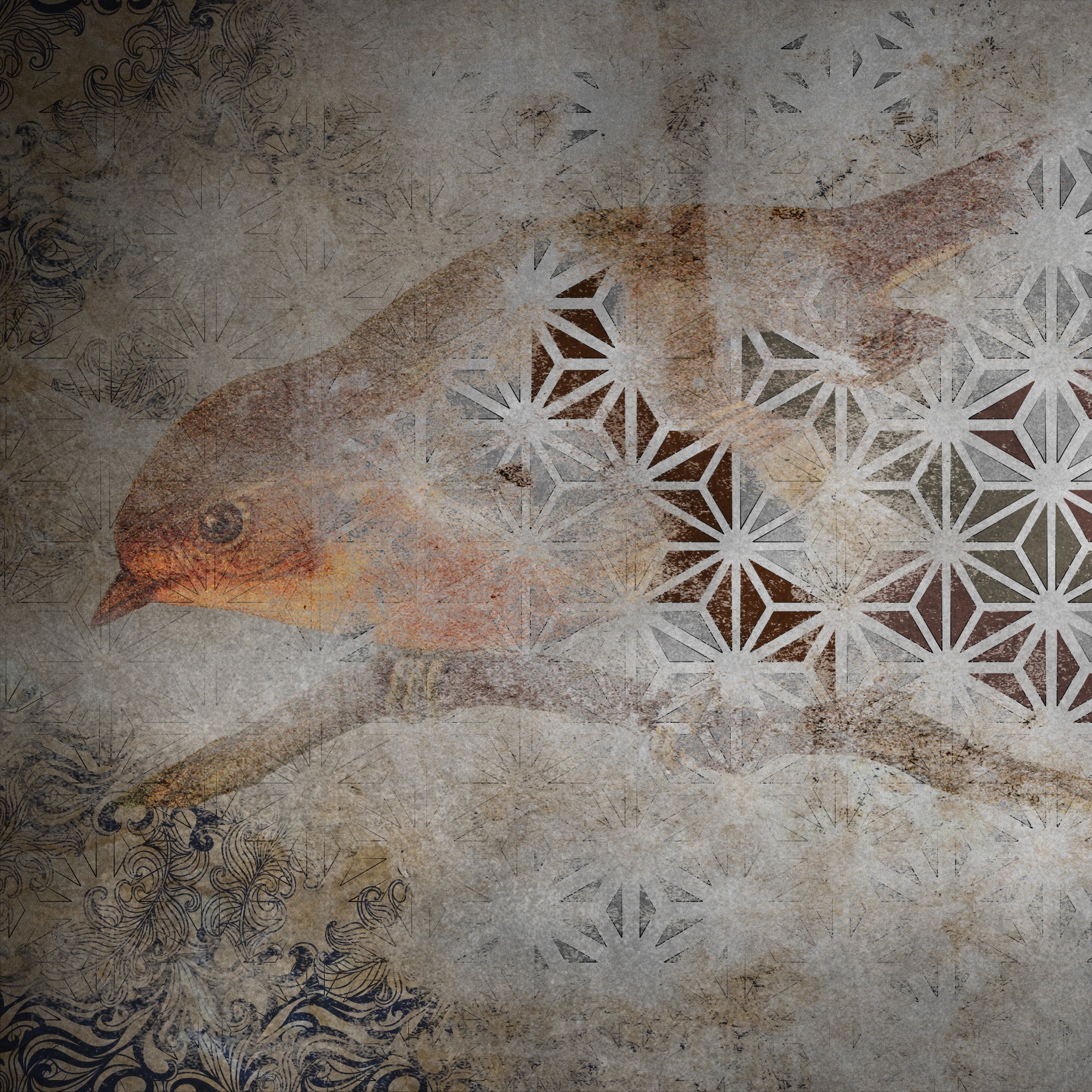 Display product Geometry | Archeo from manufacturer INSTABILELAB