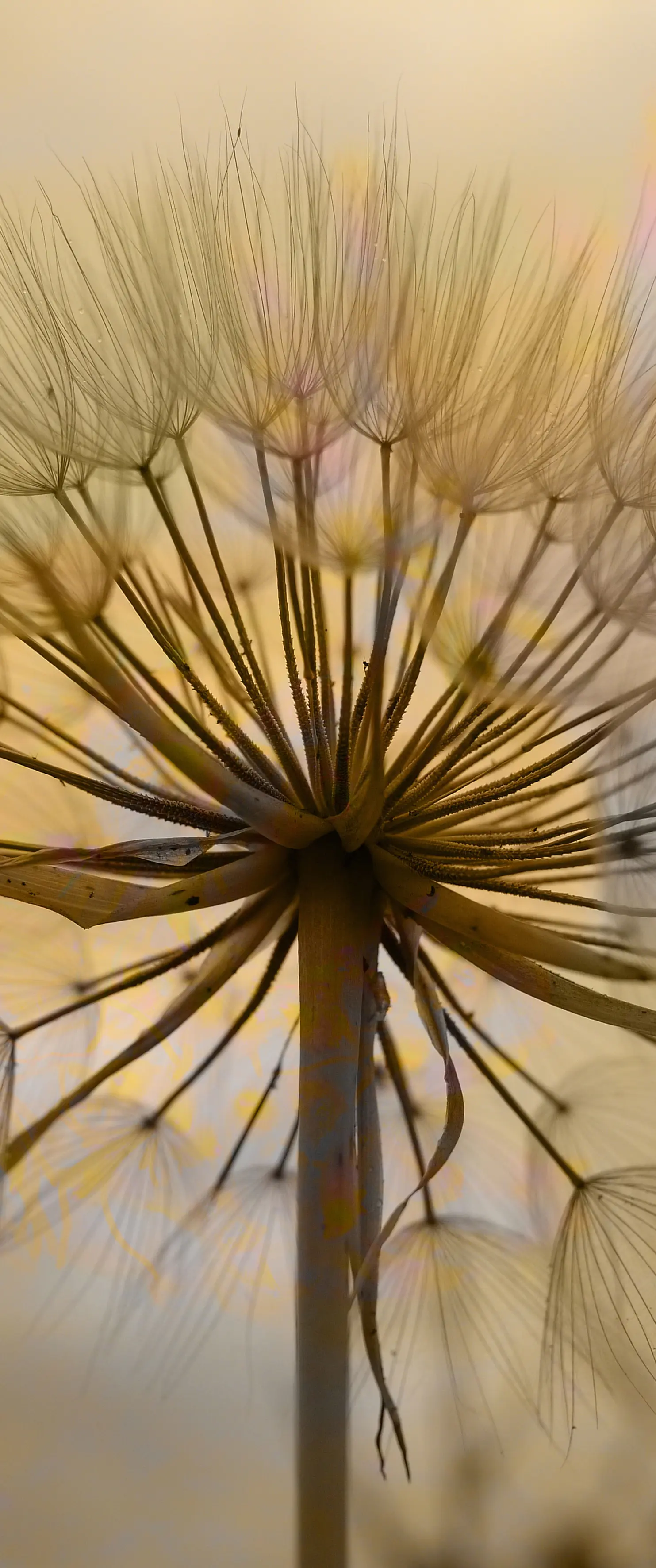 INSTABILELAB - Doorpaper | Artistica