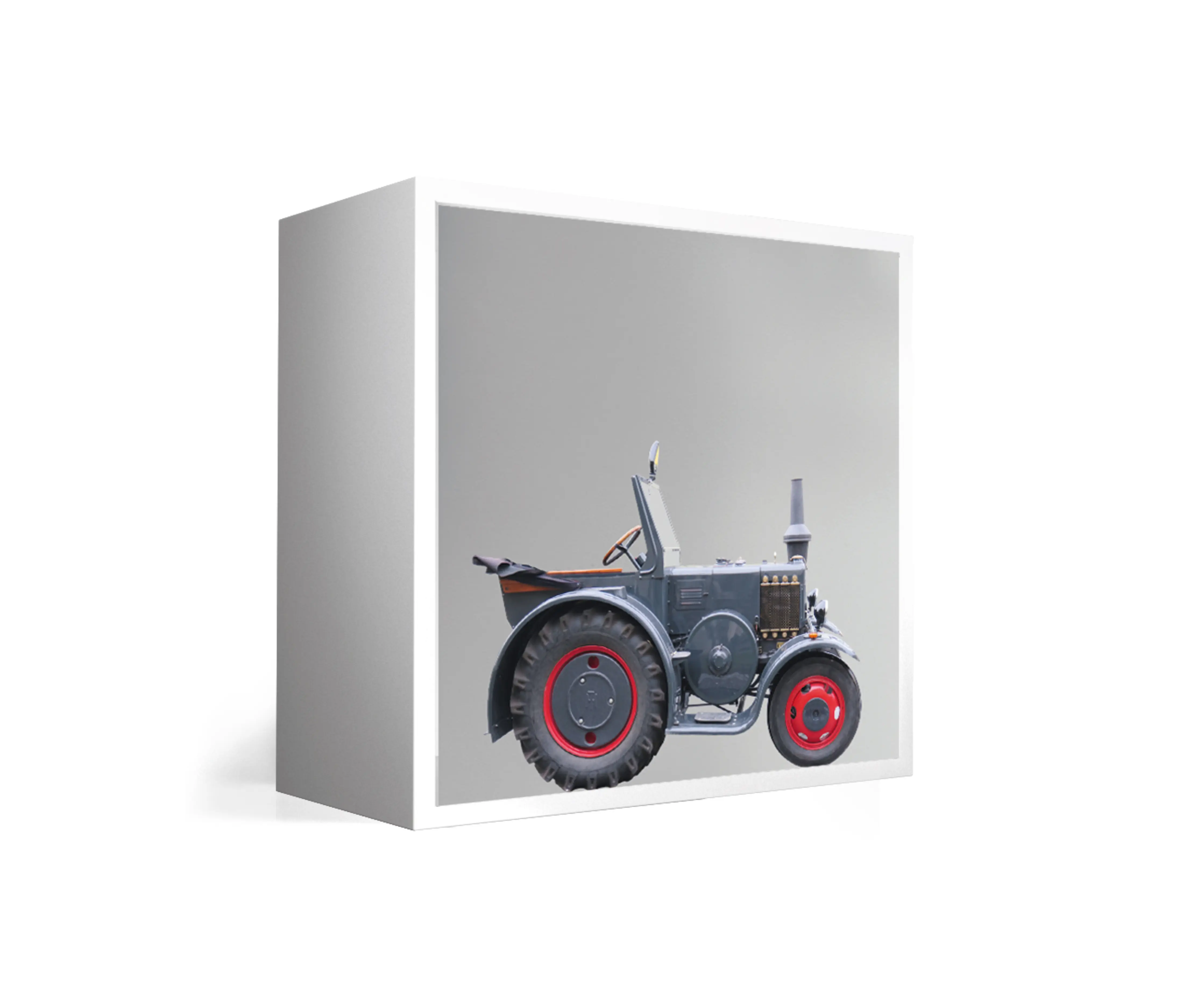 INSTABILELAB - Book Access Cube Print