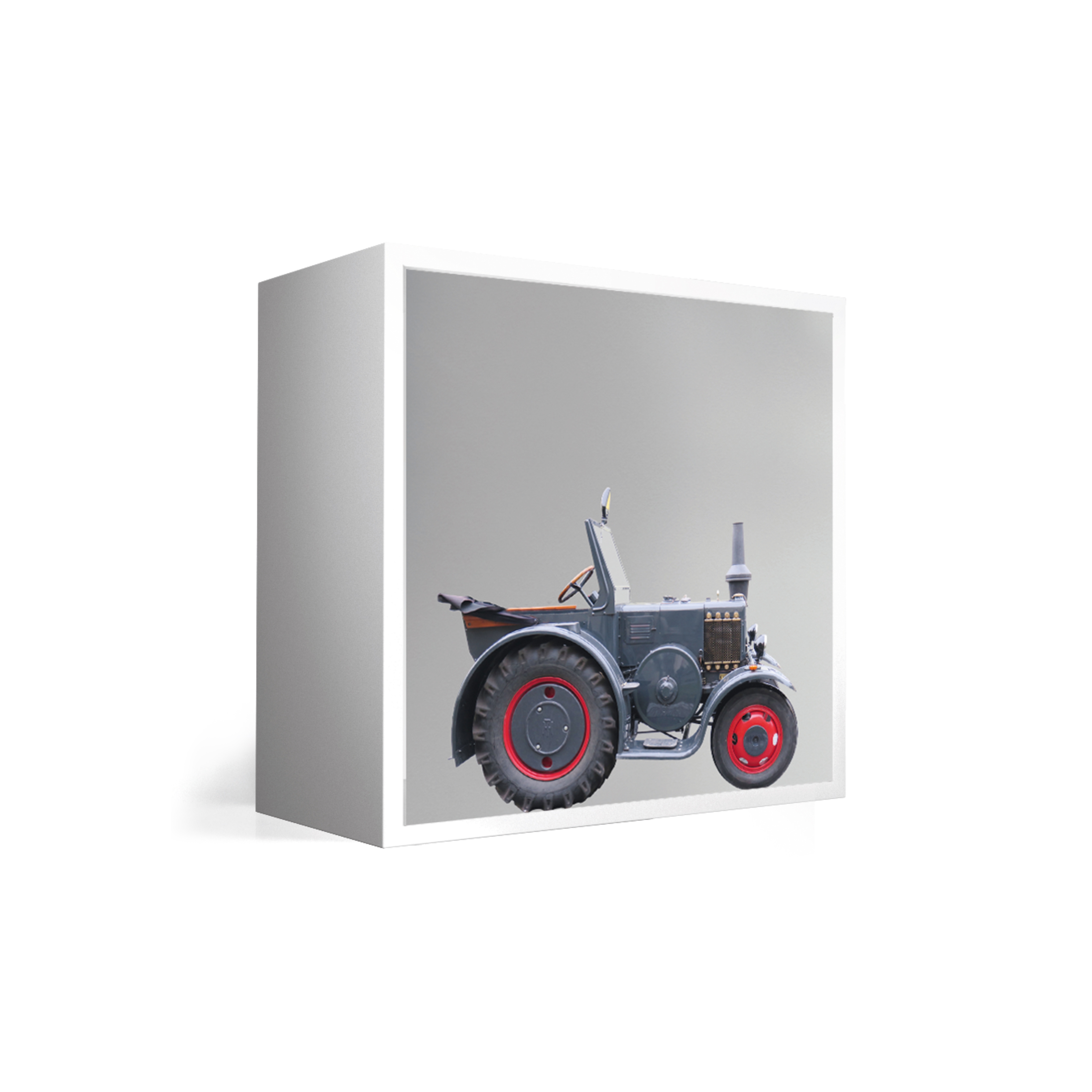 Book Access Cube Print