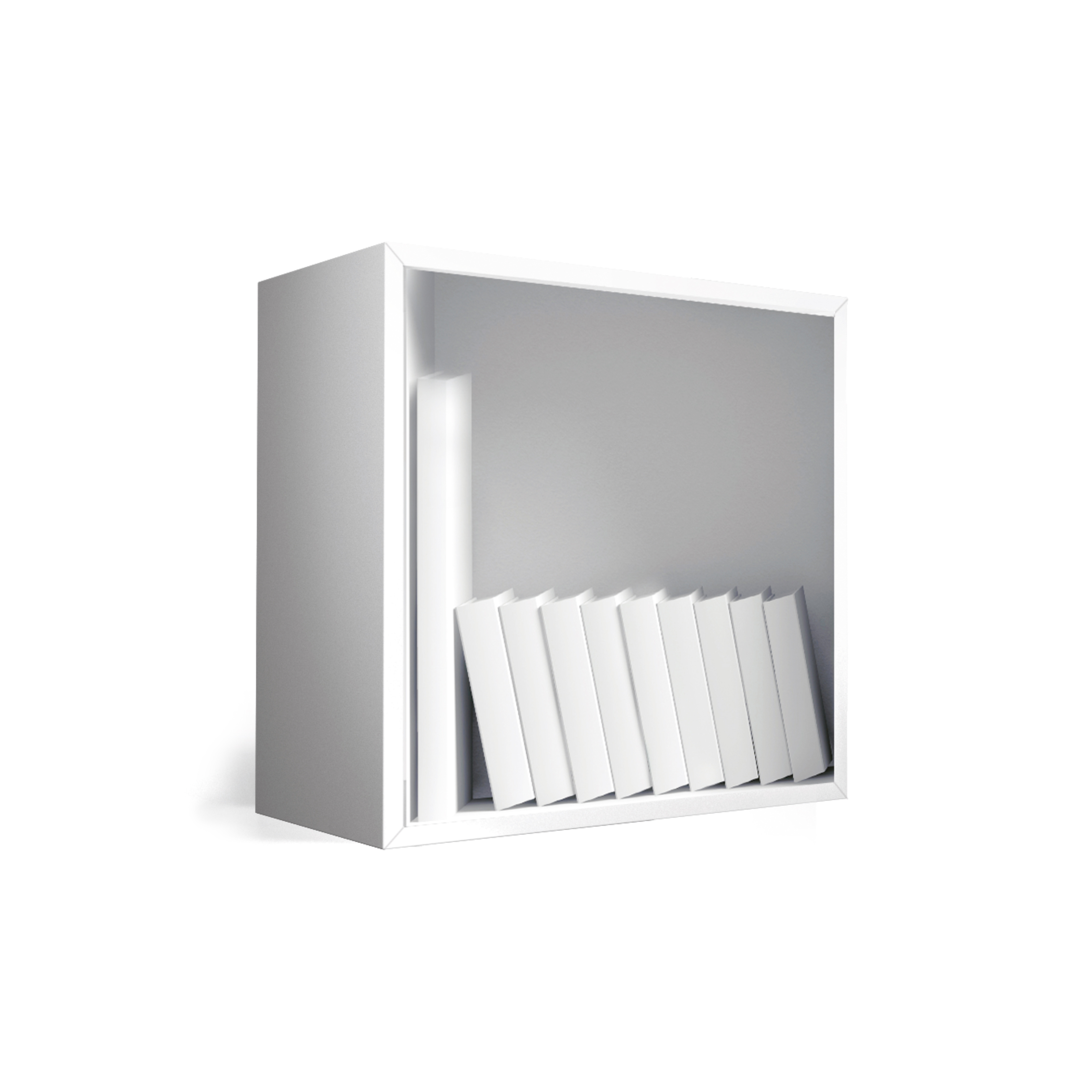 Book Access Cube Print