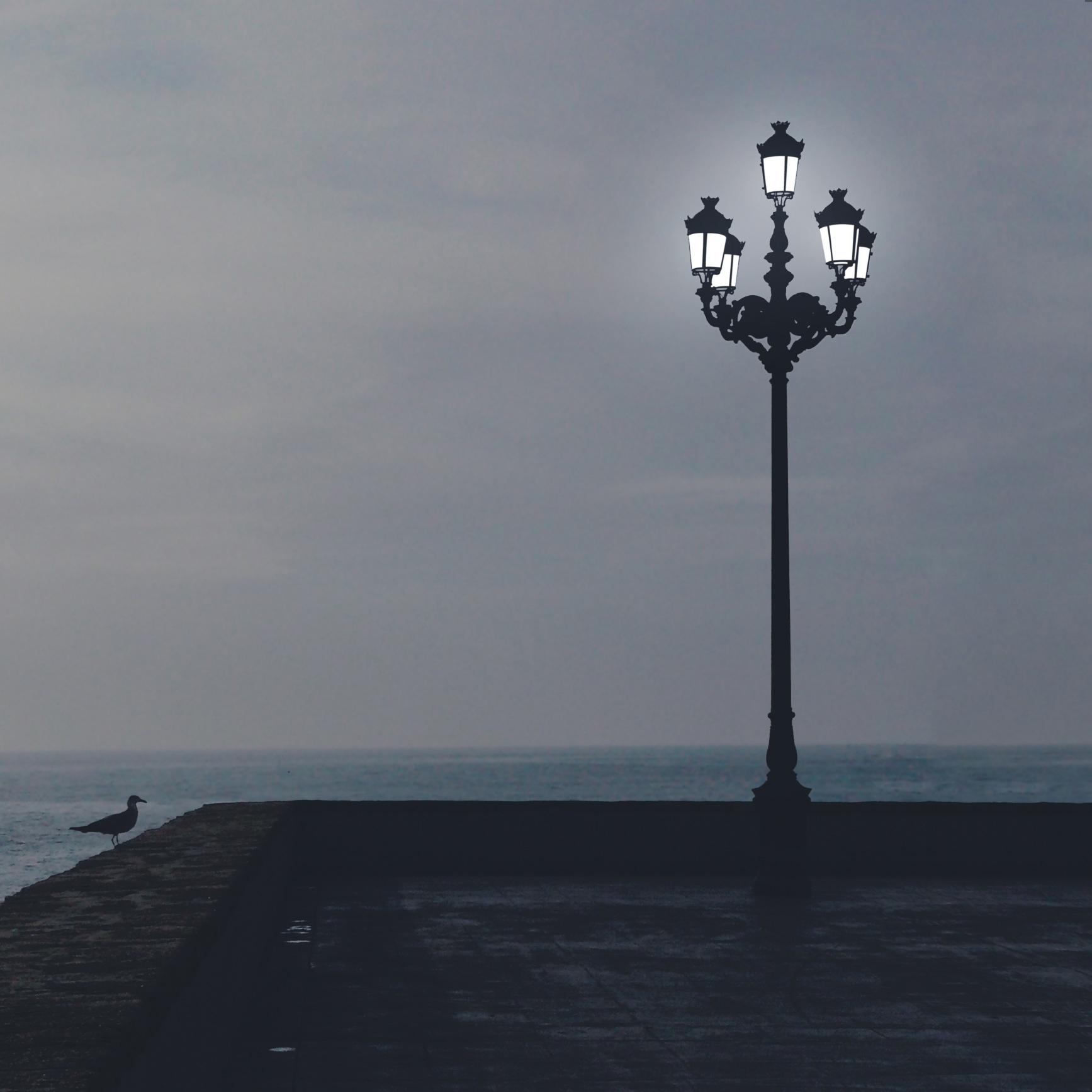 Afficher le produit Light+Light du fabricant INSTABILELAB