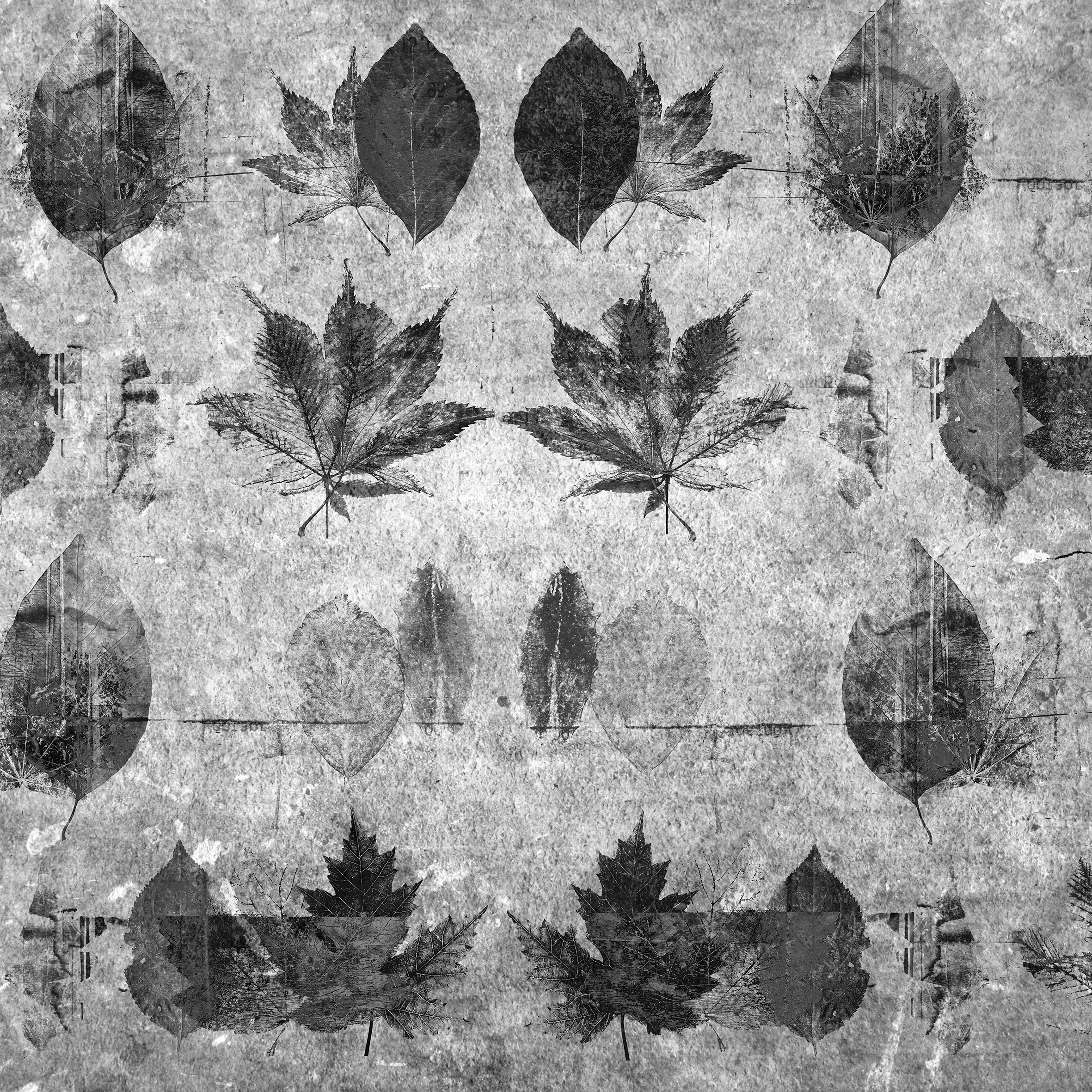 Artè | Autumn