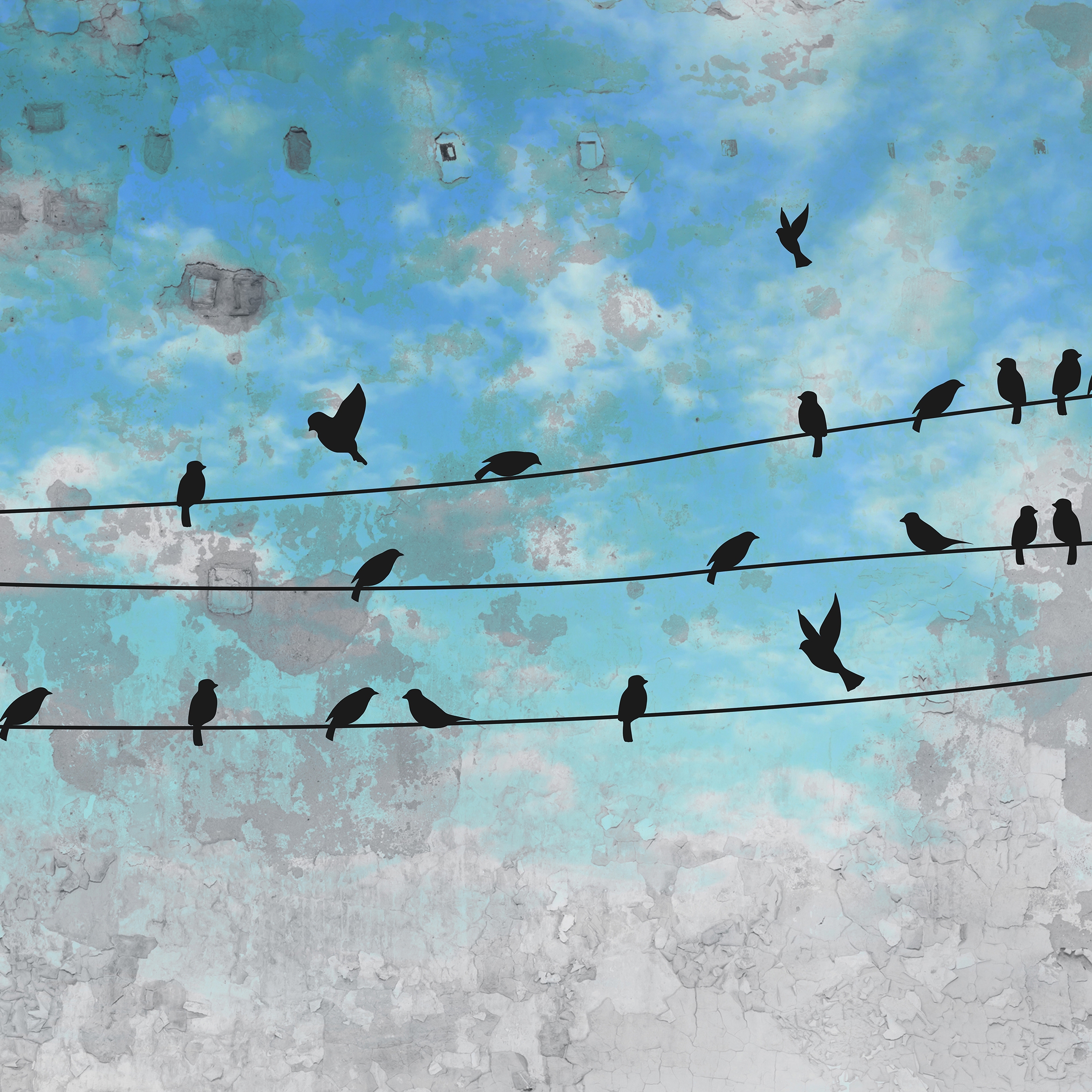 Afficher le produit Black Bird du fabricant INSTABILELAB