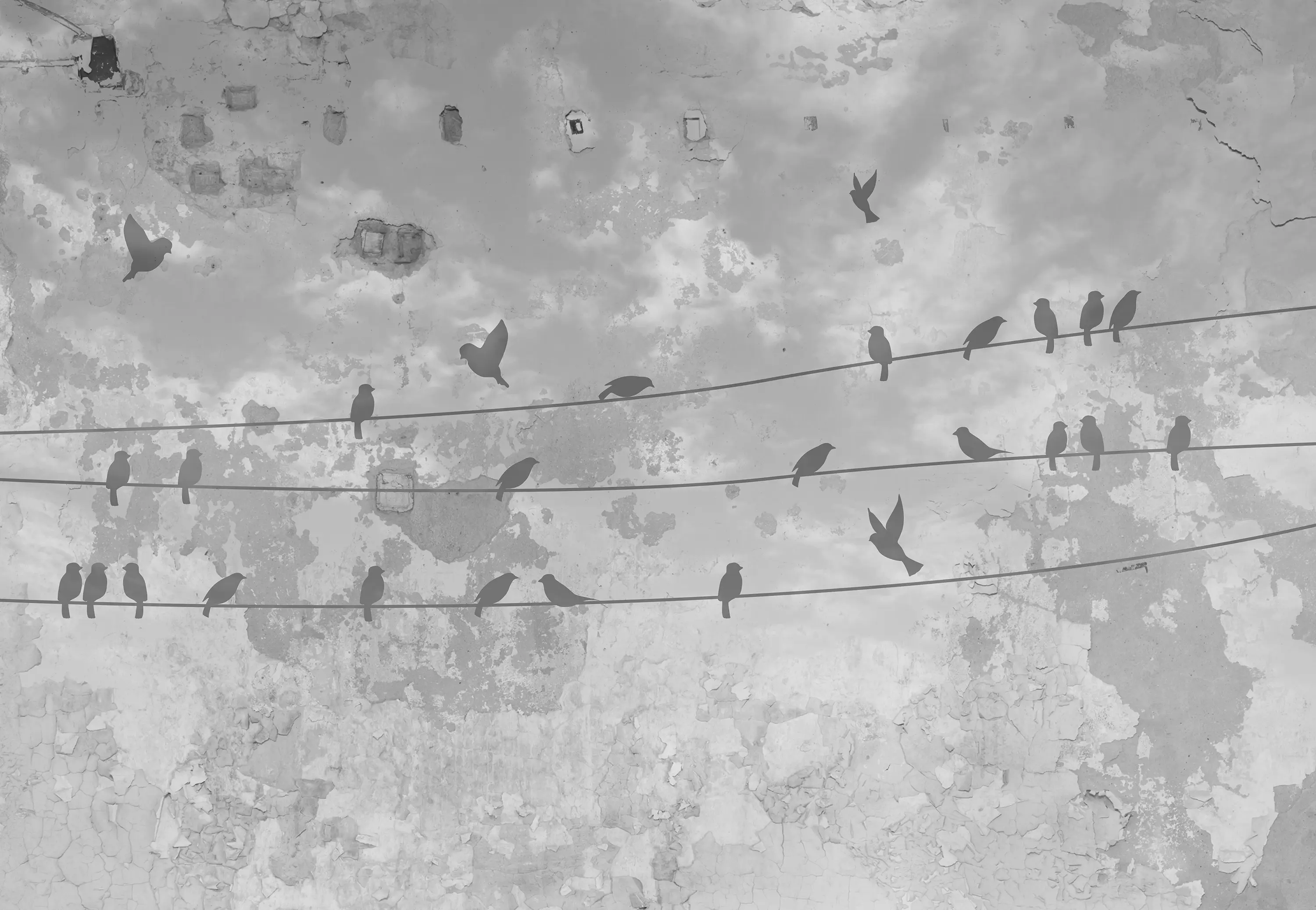 INSTABILELAB - Black Bird