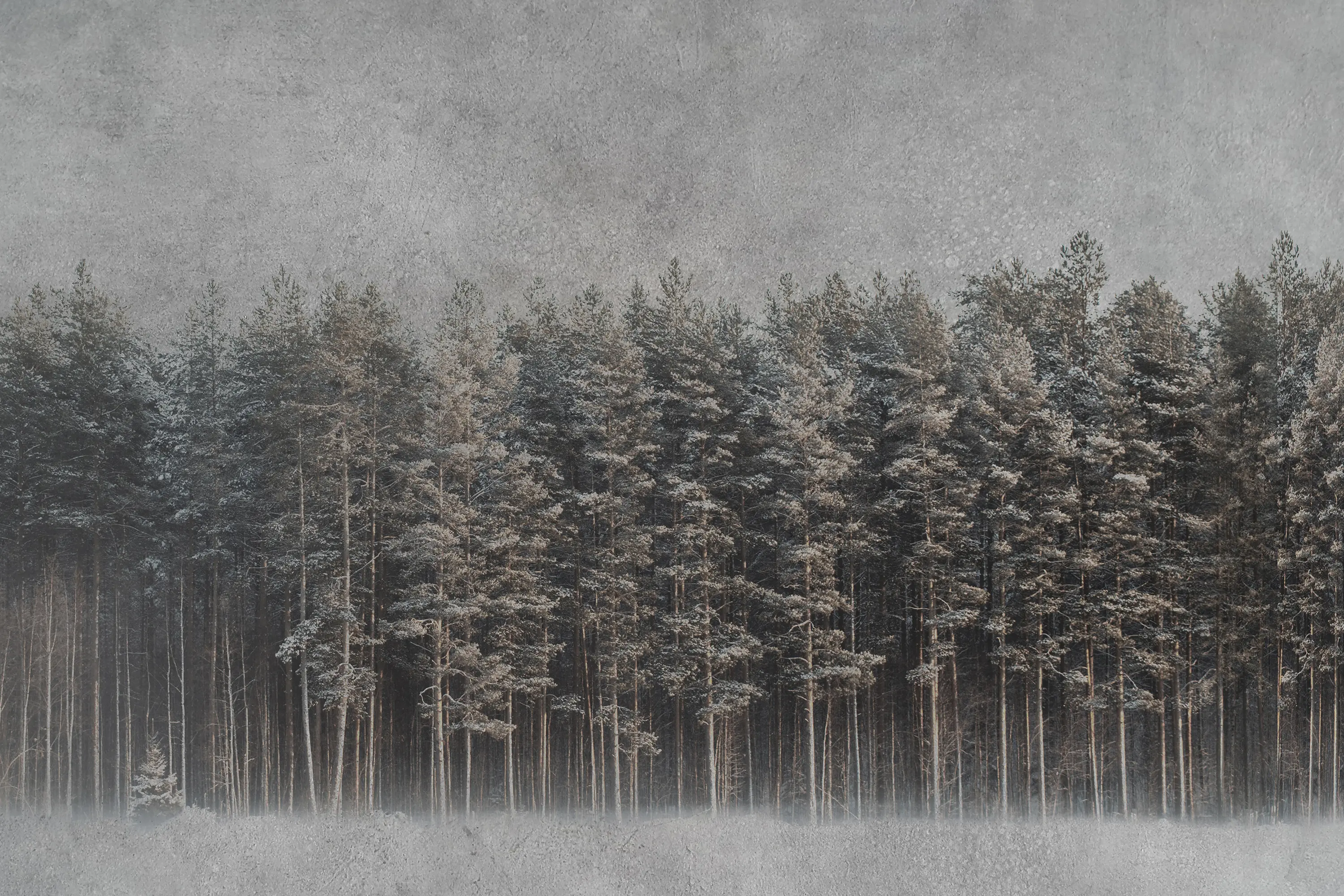 INSTABILELAB - Black Forest