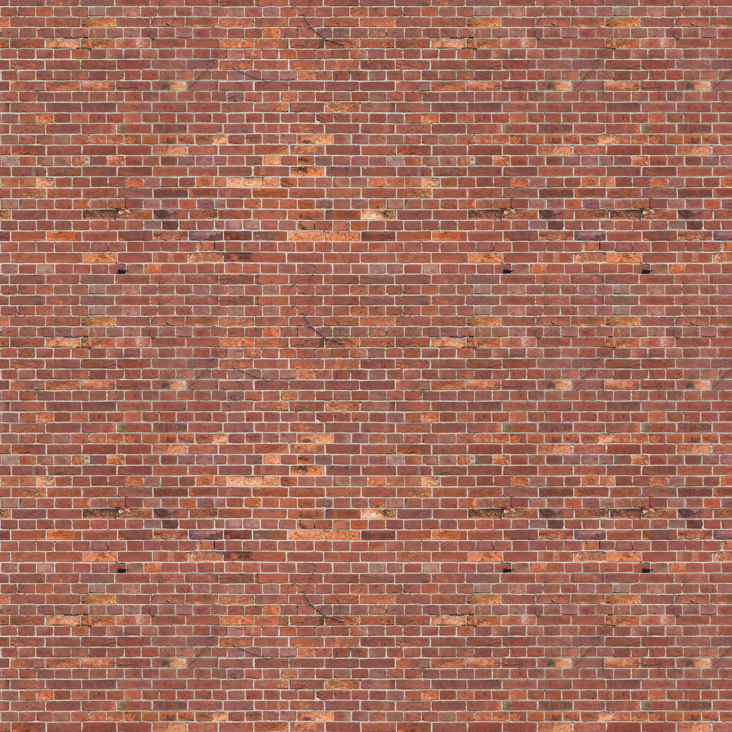 Afficher le produit Bricks du fabricant INSTABILELAB
