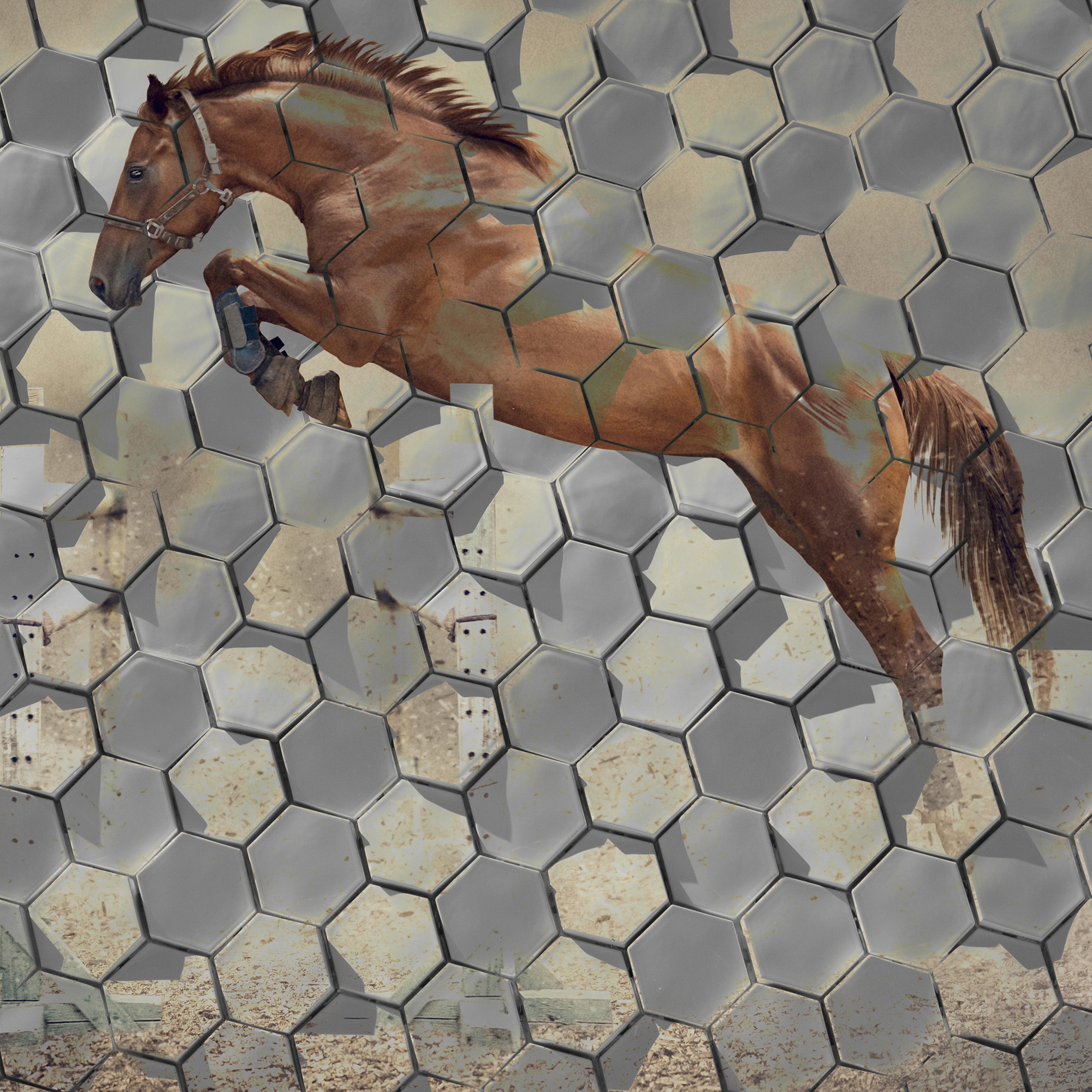 Afficher le produit Crazy Horse du fabricant INSTABILELAB