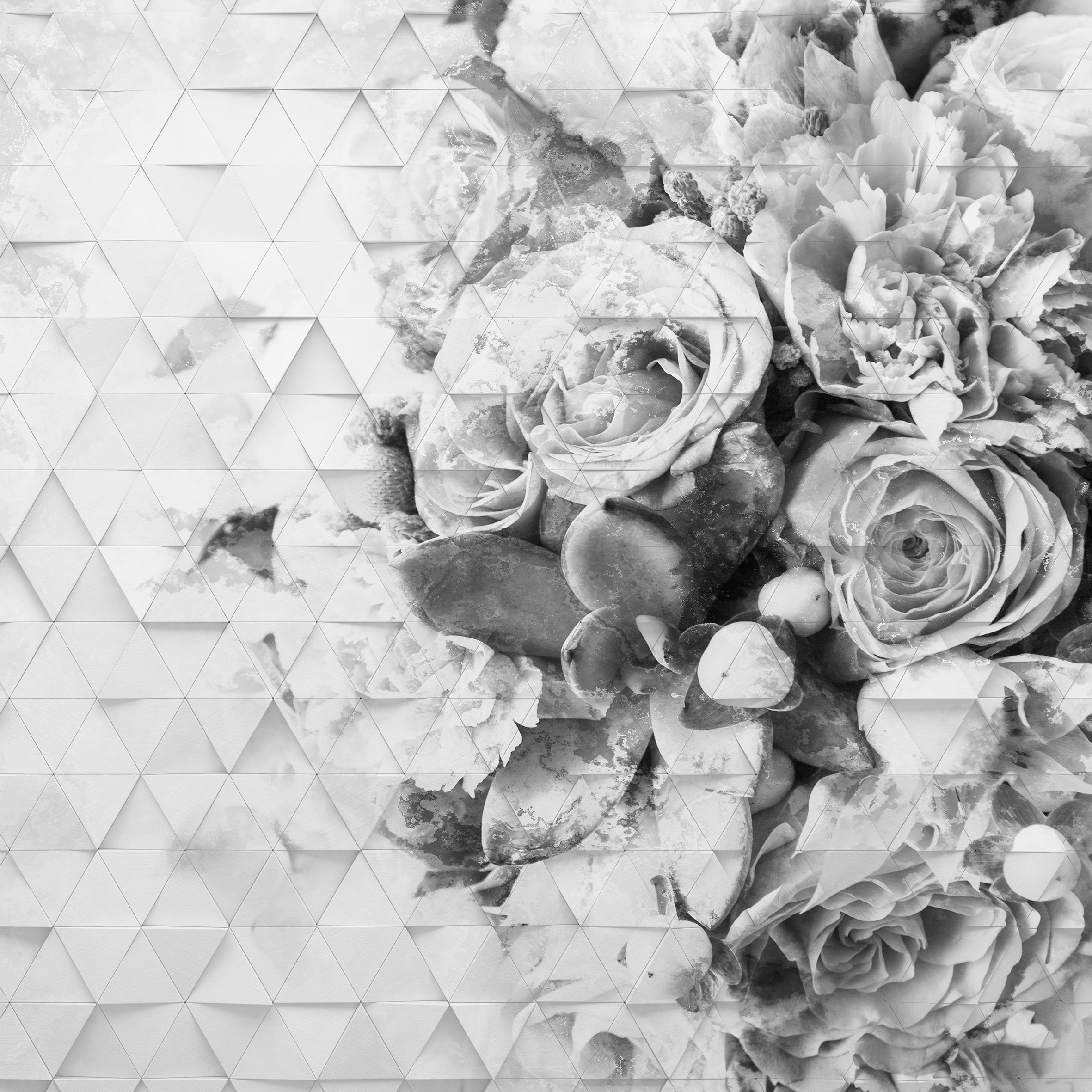 Decomposed Rose