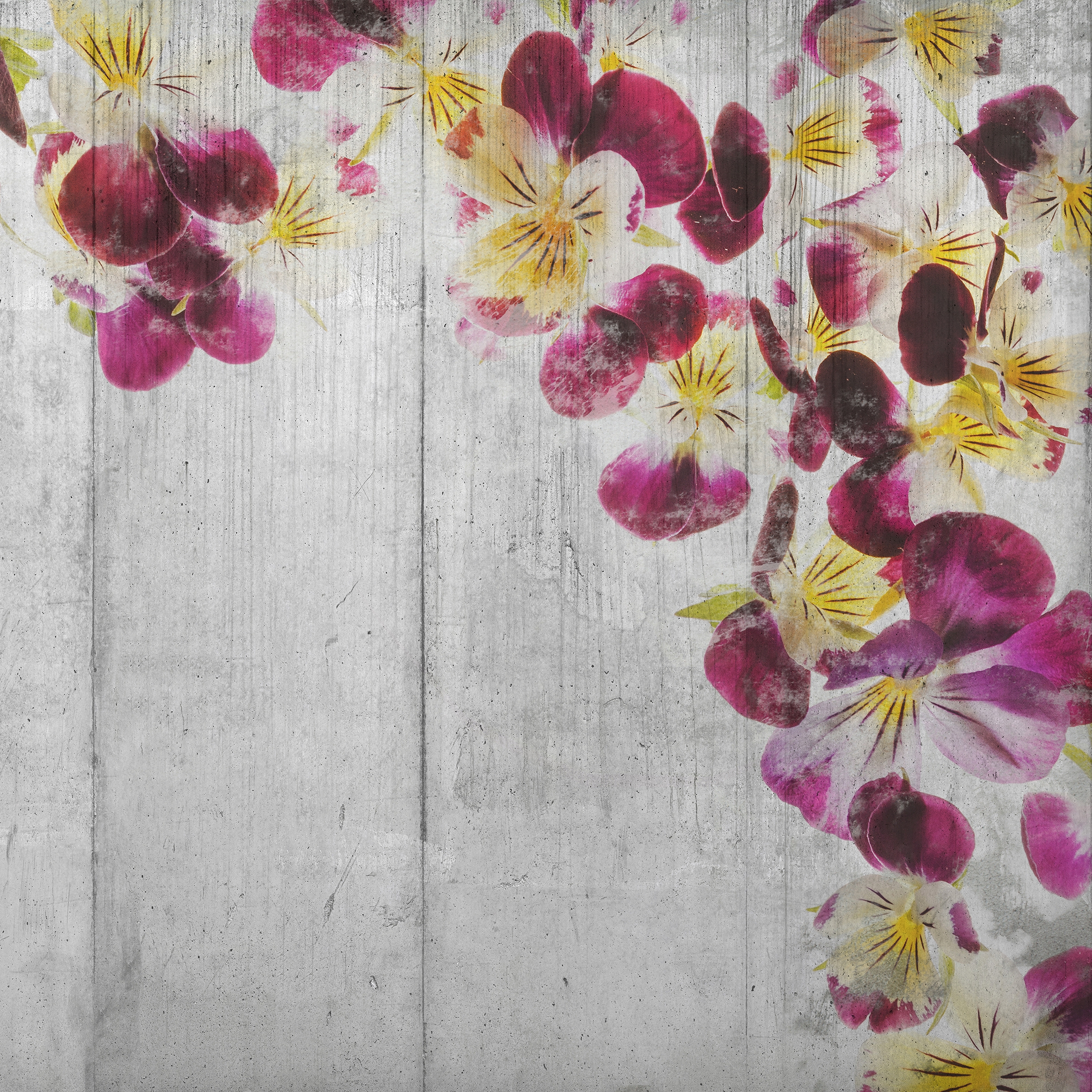Afficher le produit Flowered Cement du fabricant INSTABILELAB