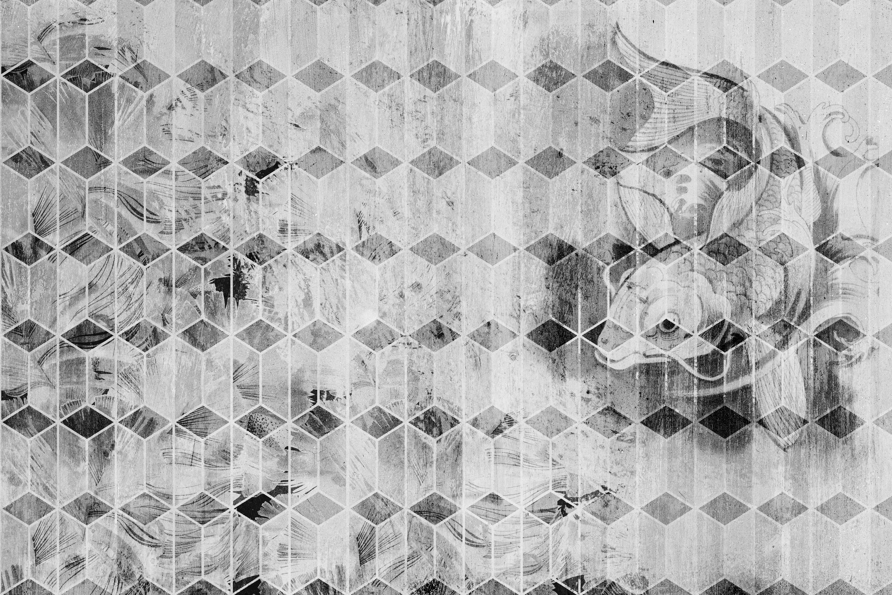 INSTABILELAB - Koi
