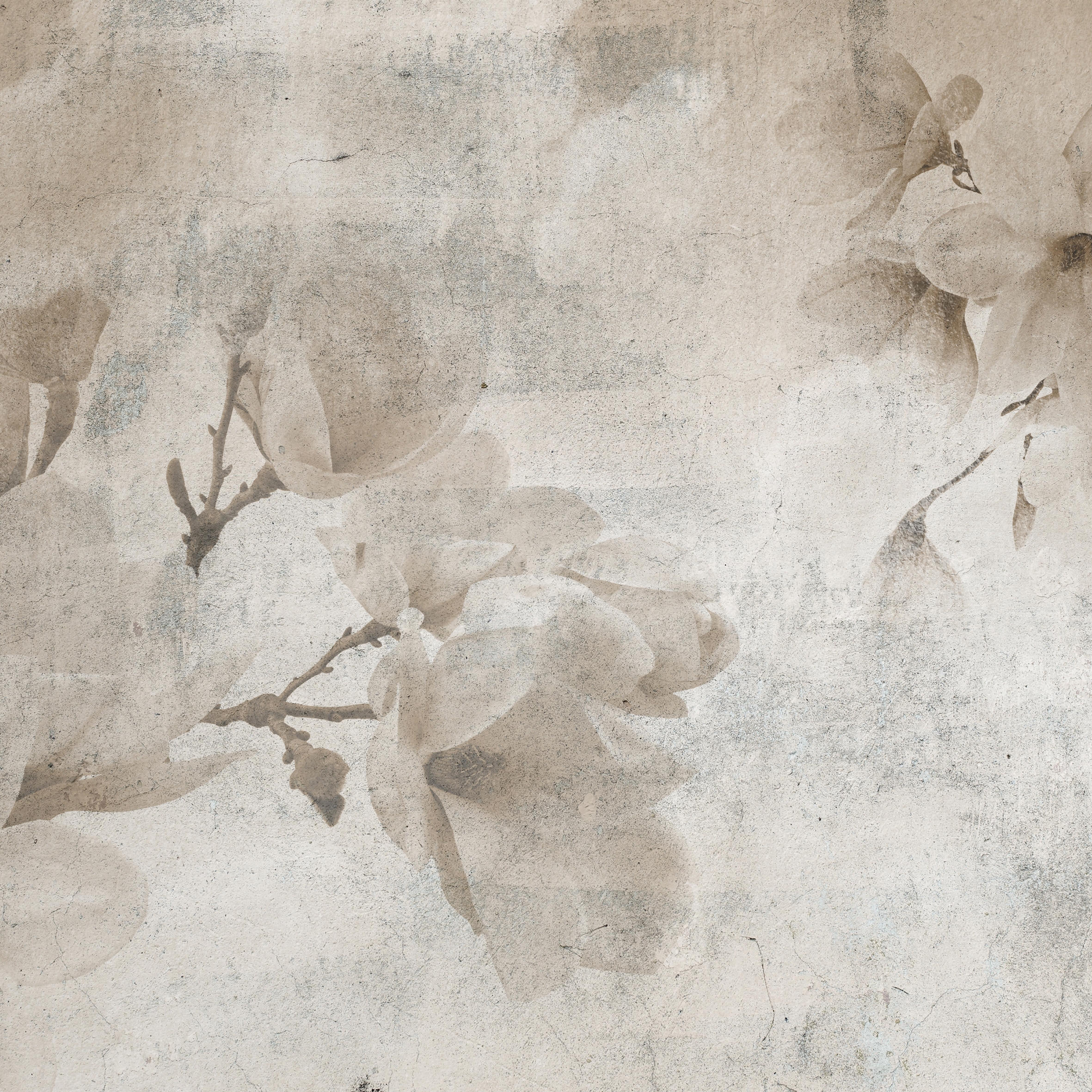 Display product Magnolia from manufacturer INSTABILELAB