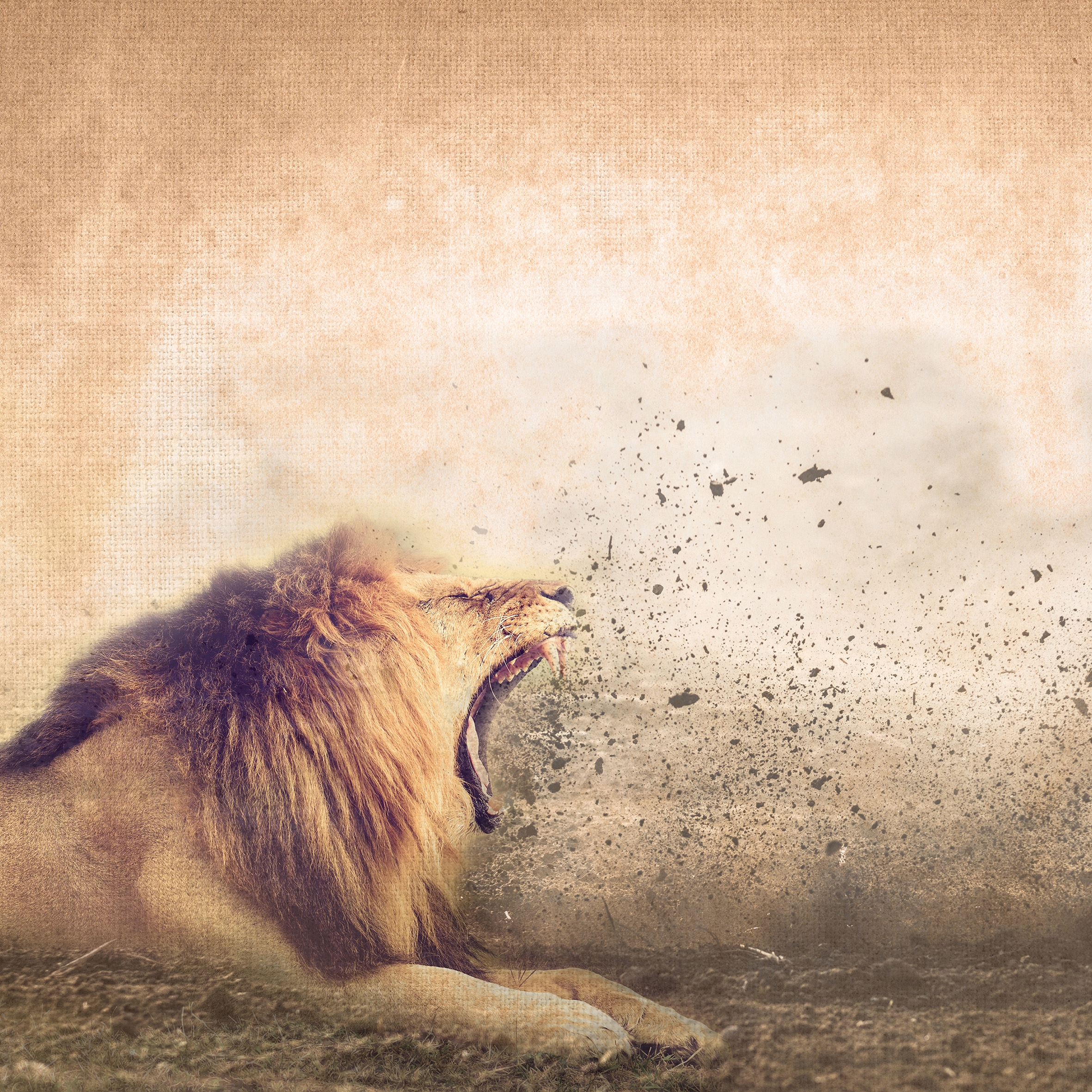 Display product Roar Of The Lion from manufacturer INSTABILELAB