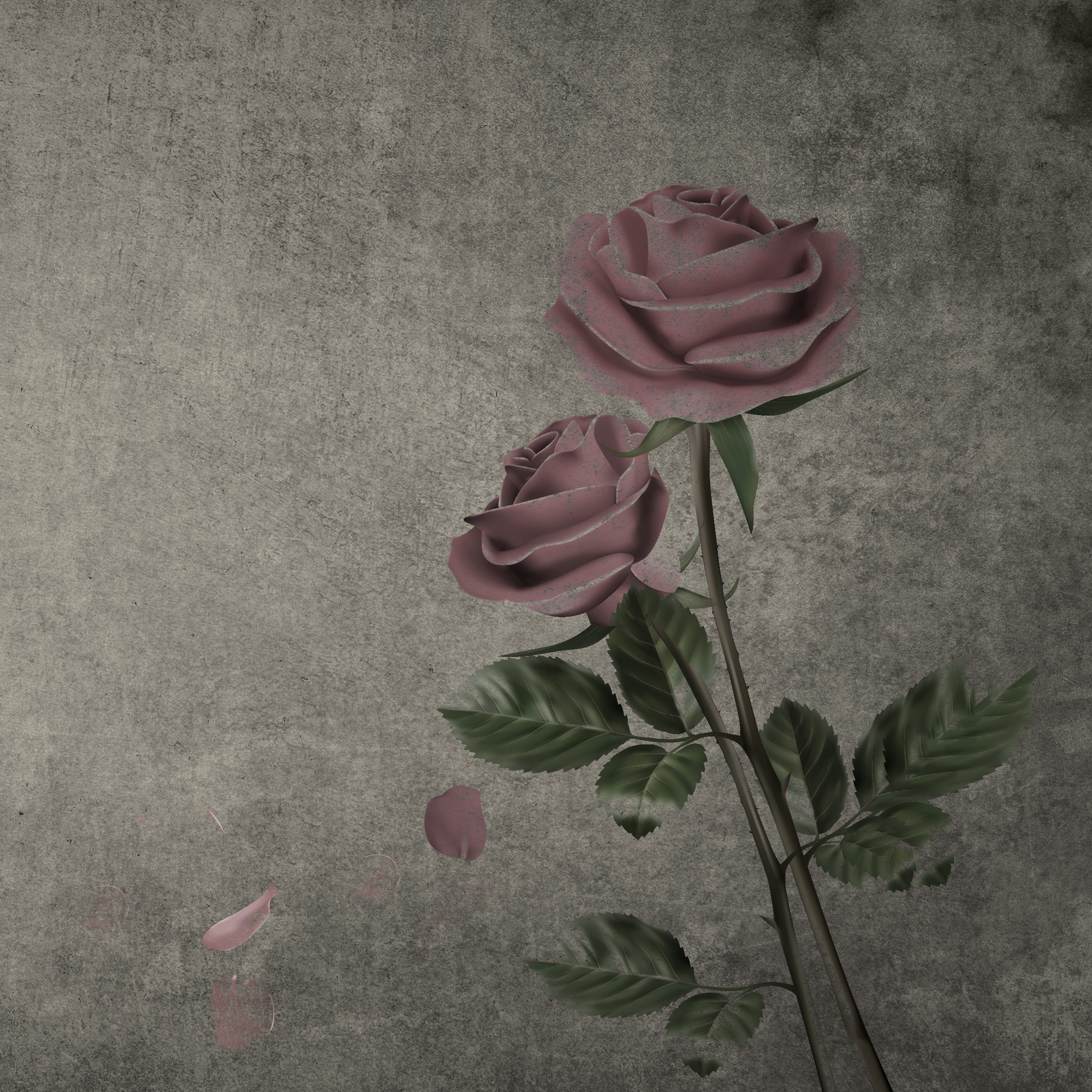 Display product Roses from manufacturer INSTABILELAB