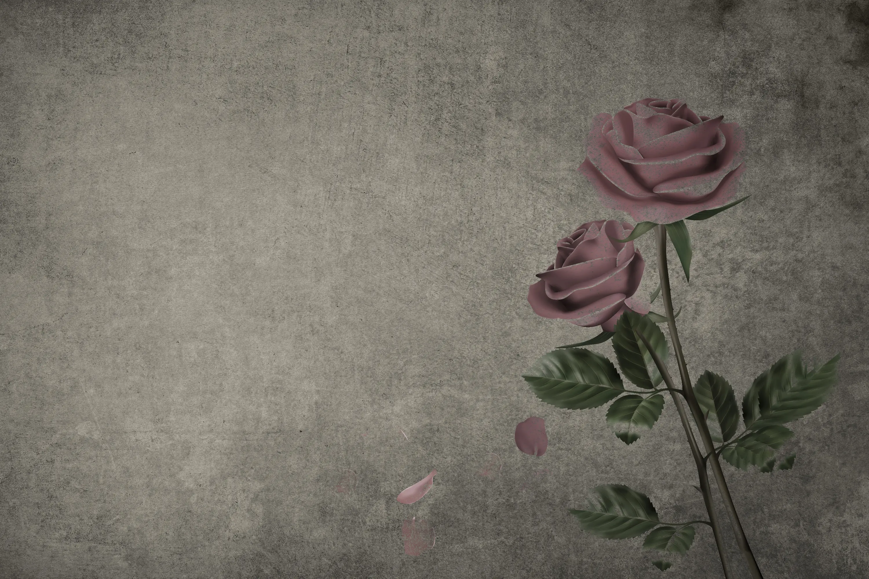 INSTABILELAB - Roses