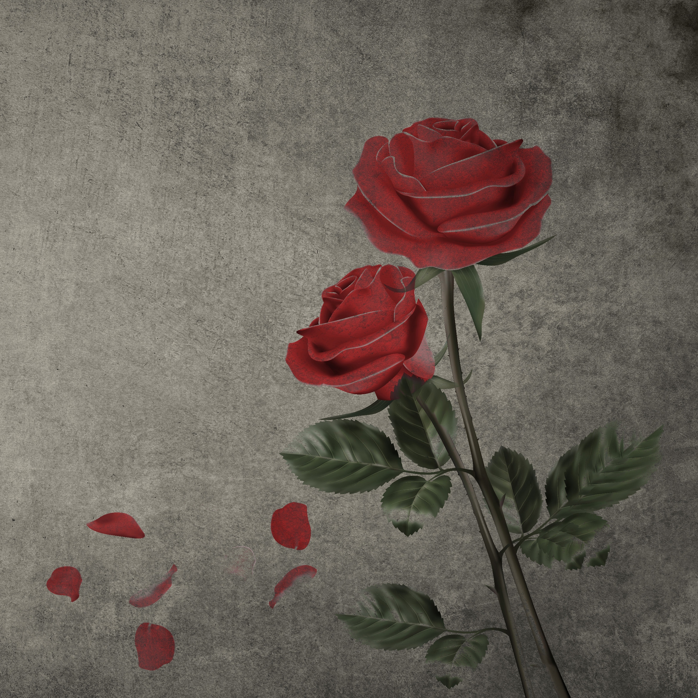 Roses