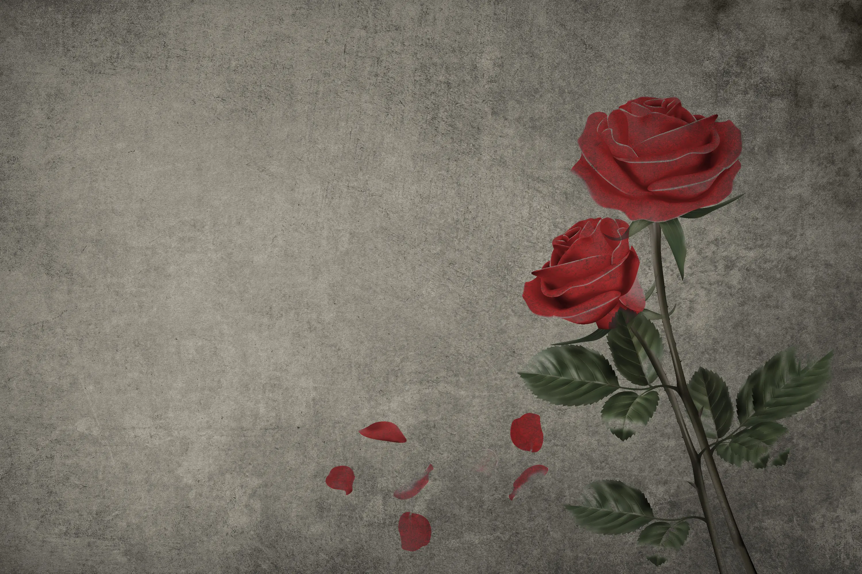 INSTABILELAB - Roses