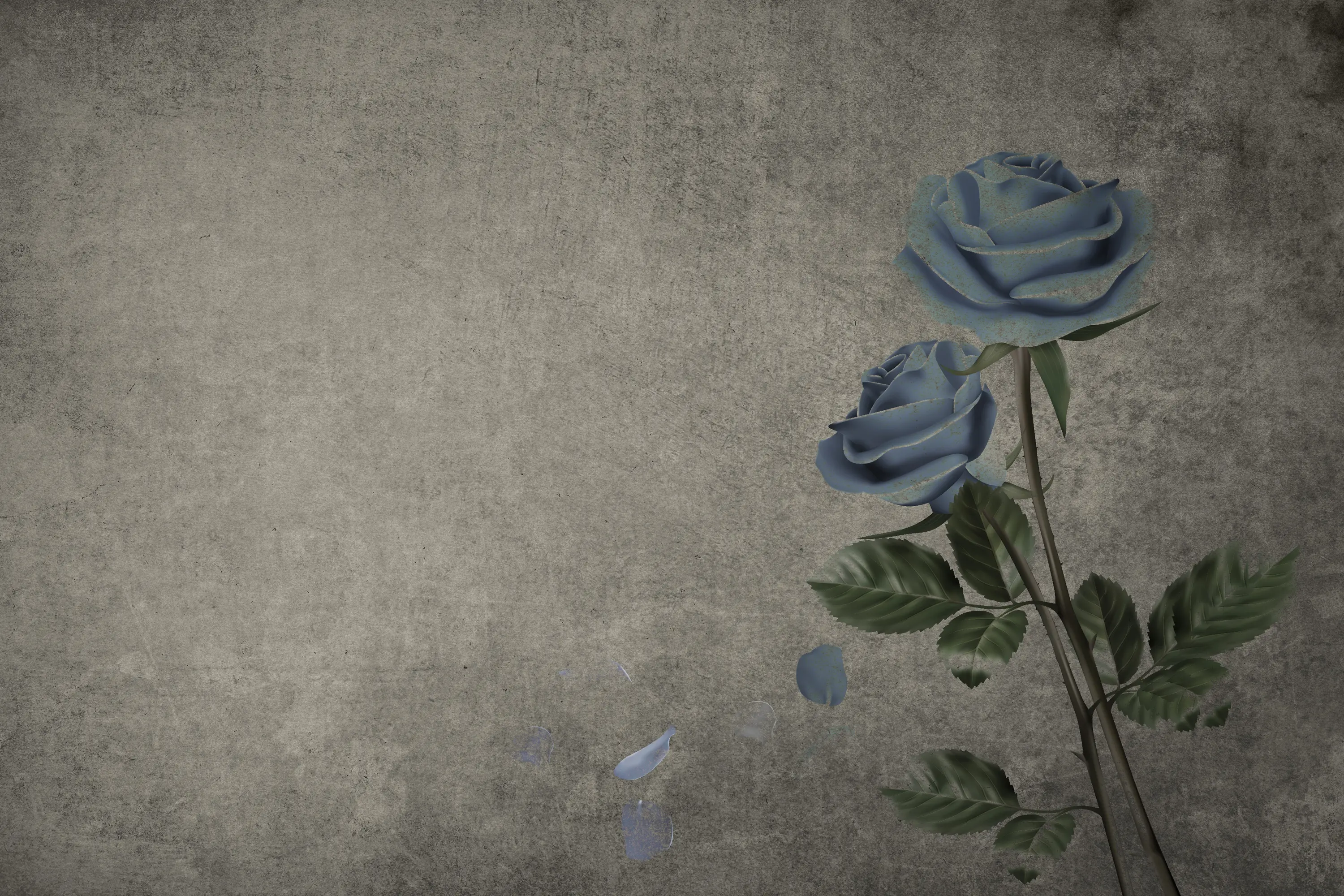 INSTABILELAB - Roses