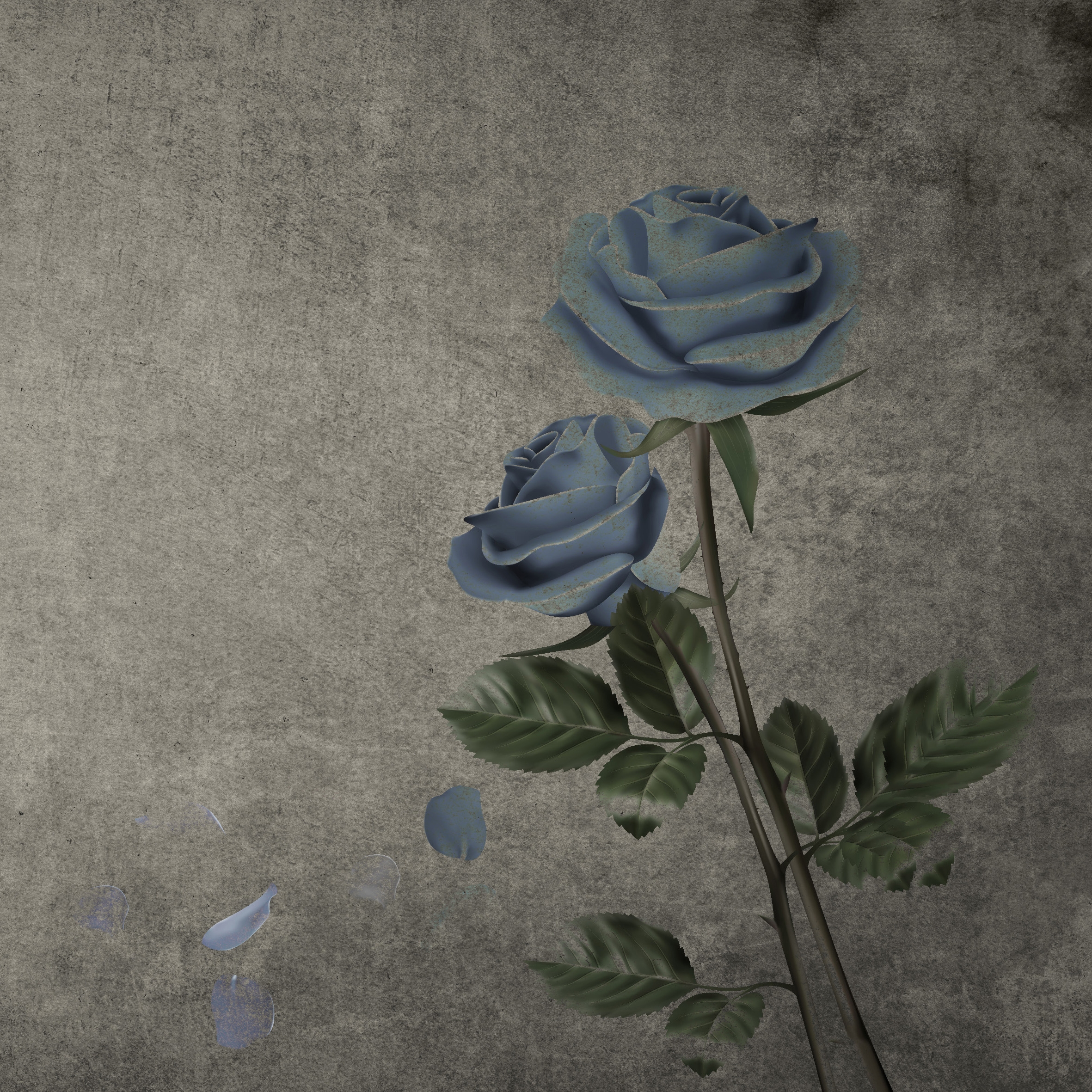 Roses