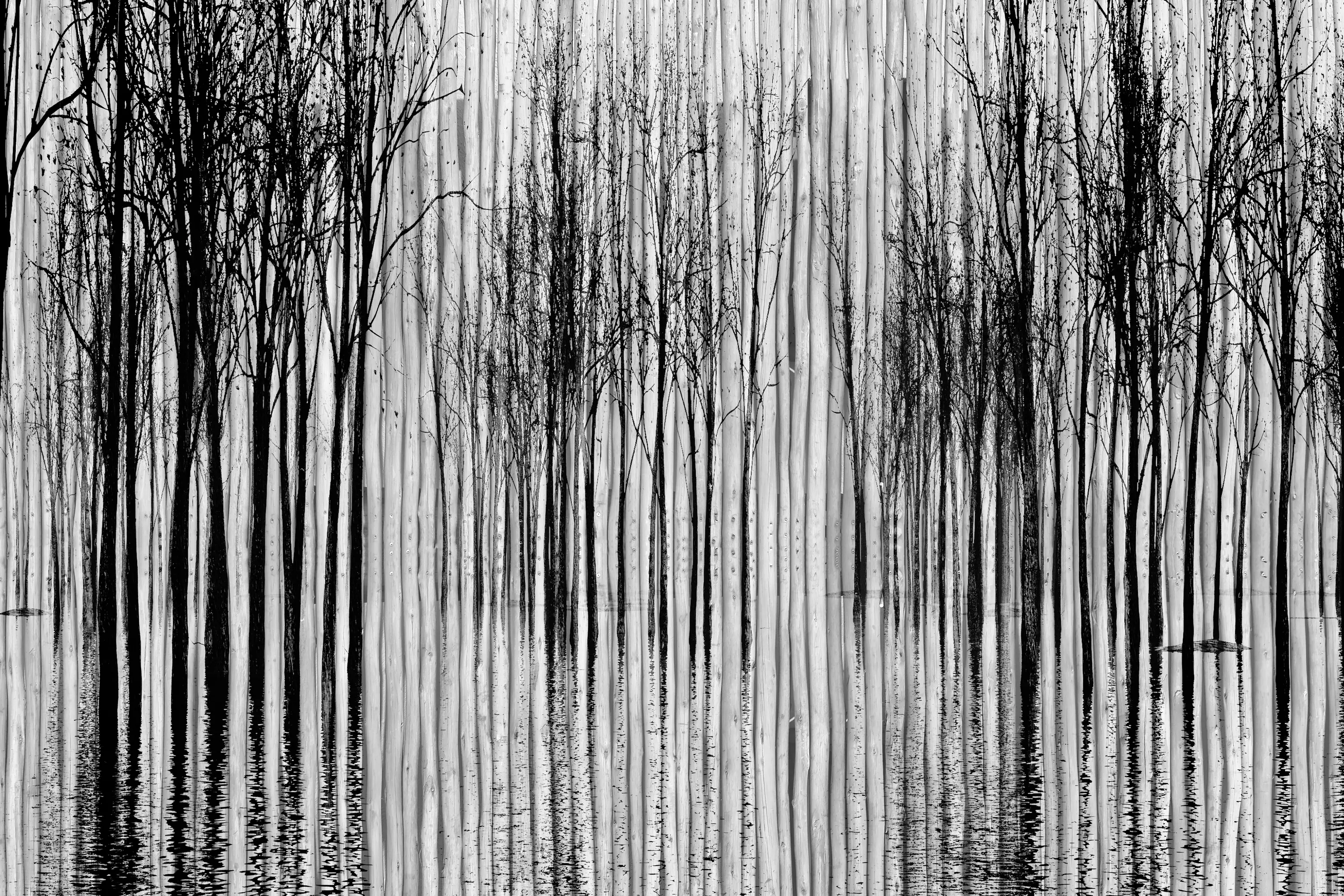 INSTABILELAB - Shady