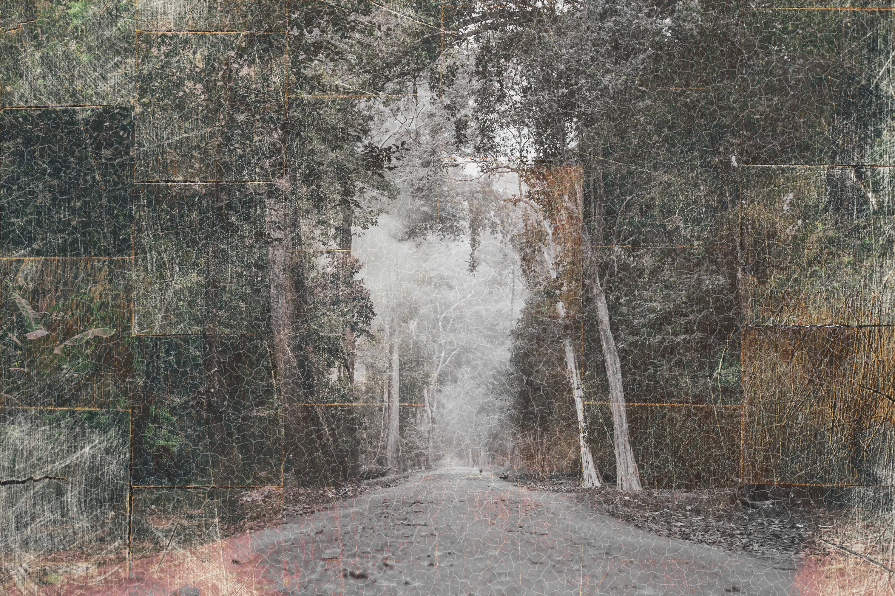 INSTABILELAB - Tree Lined Avenue