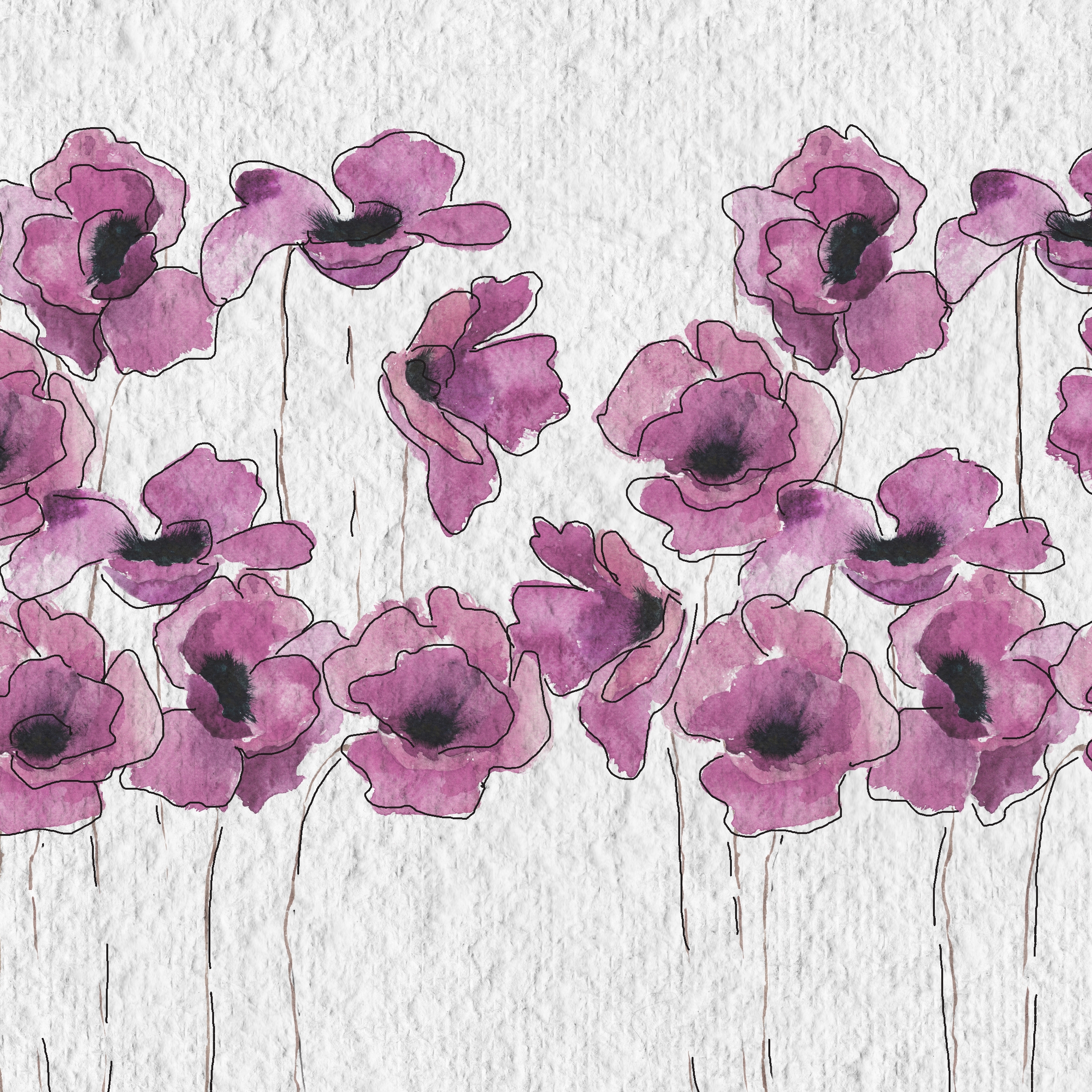Tulipared