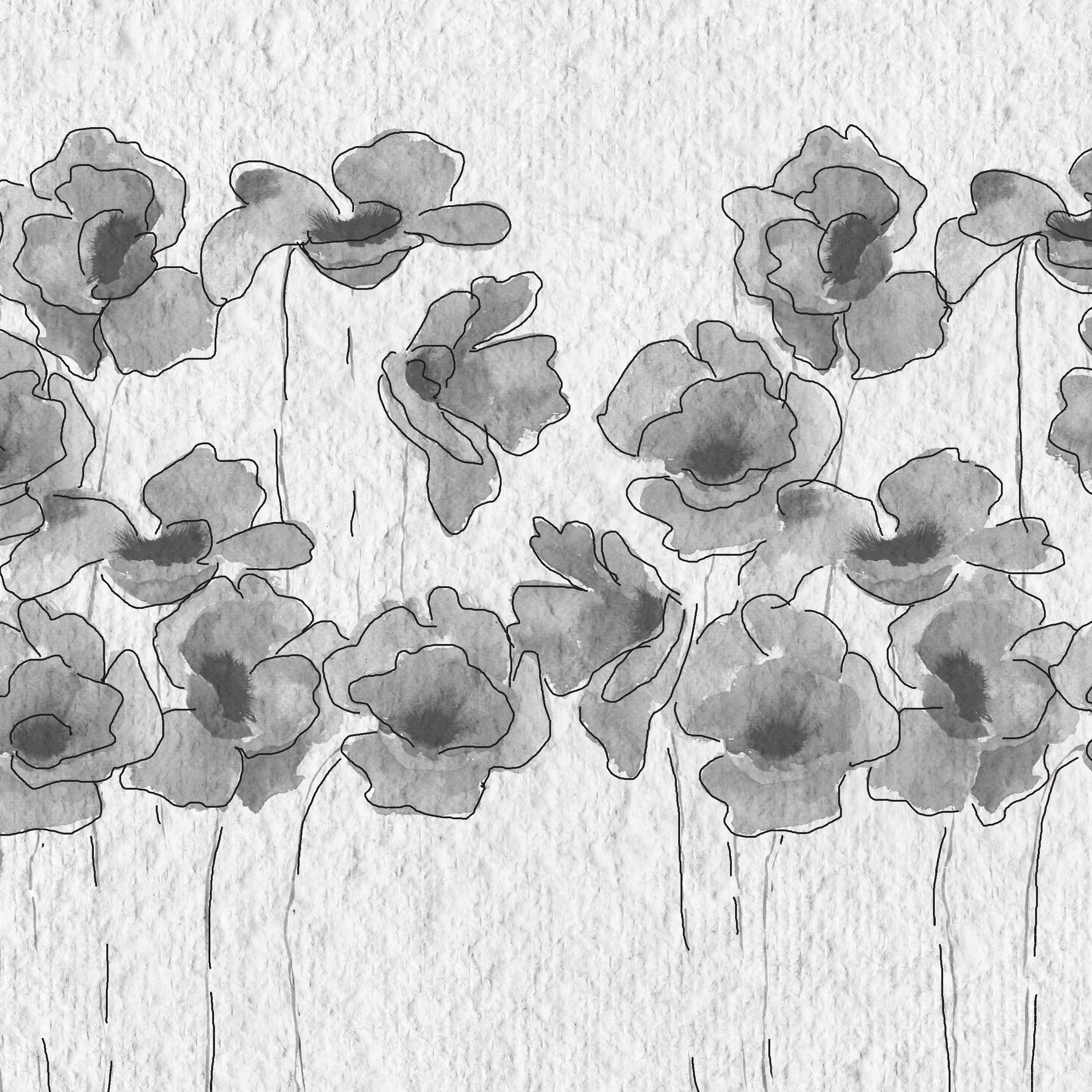 Tulipared