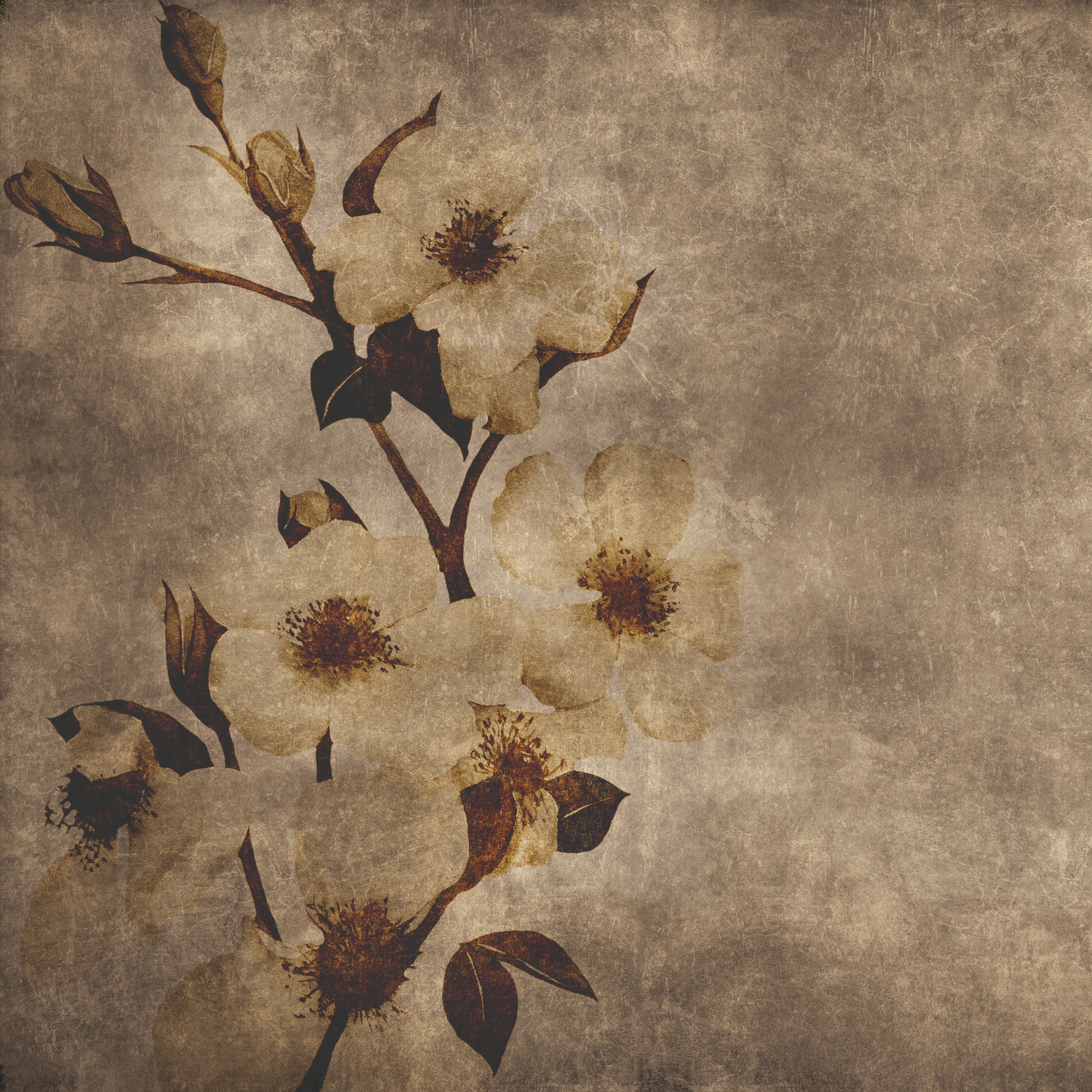 Display product Winter Flower from manufacturer INSTABILELAB