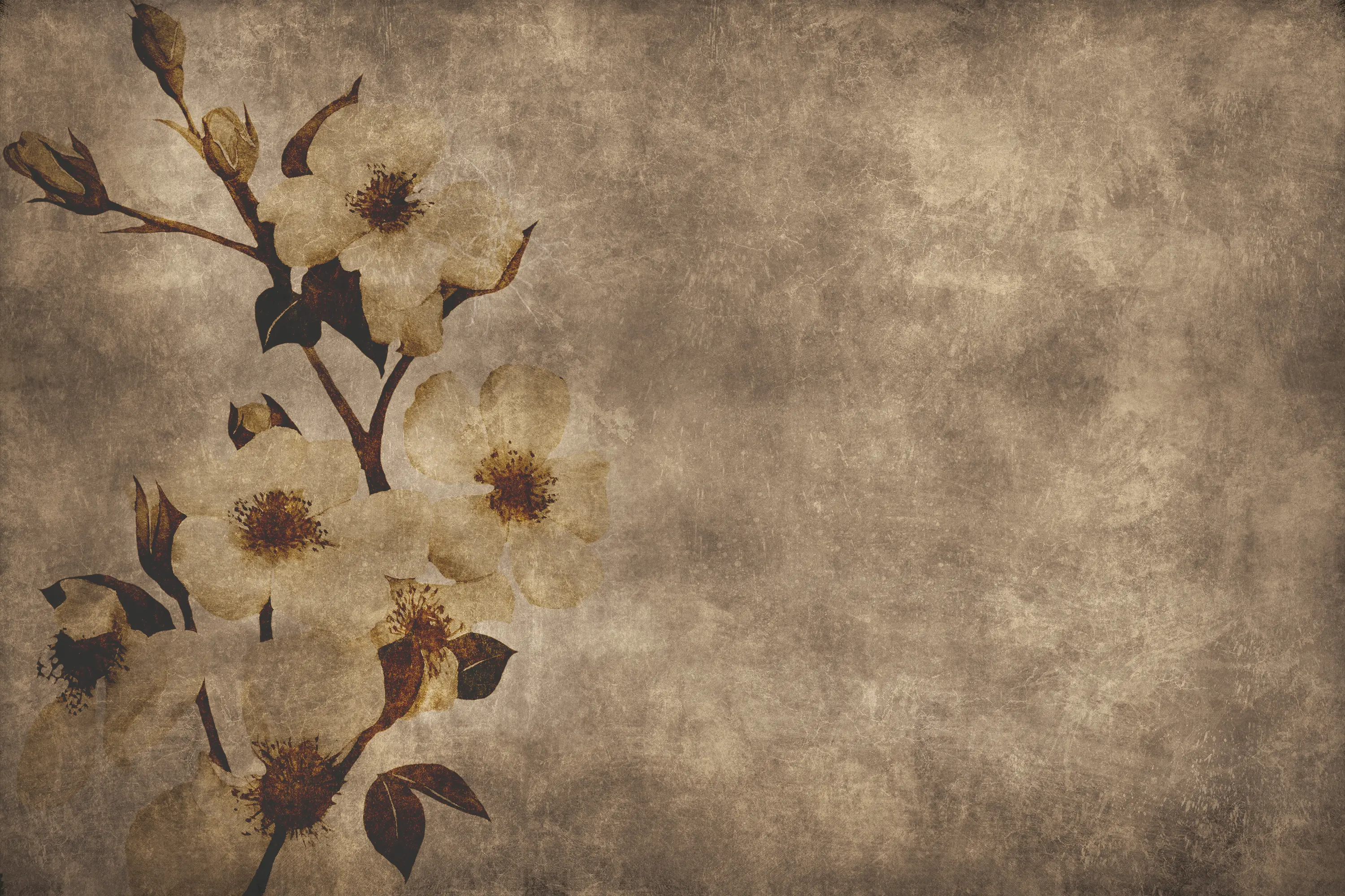 INSTABILELAB - Winter Flower